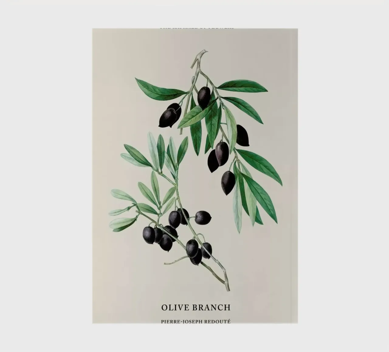 Pierre-Joseph Redouté - Olive Branch notebook by Vintage by JUNIQE