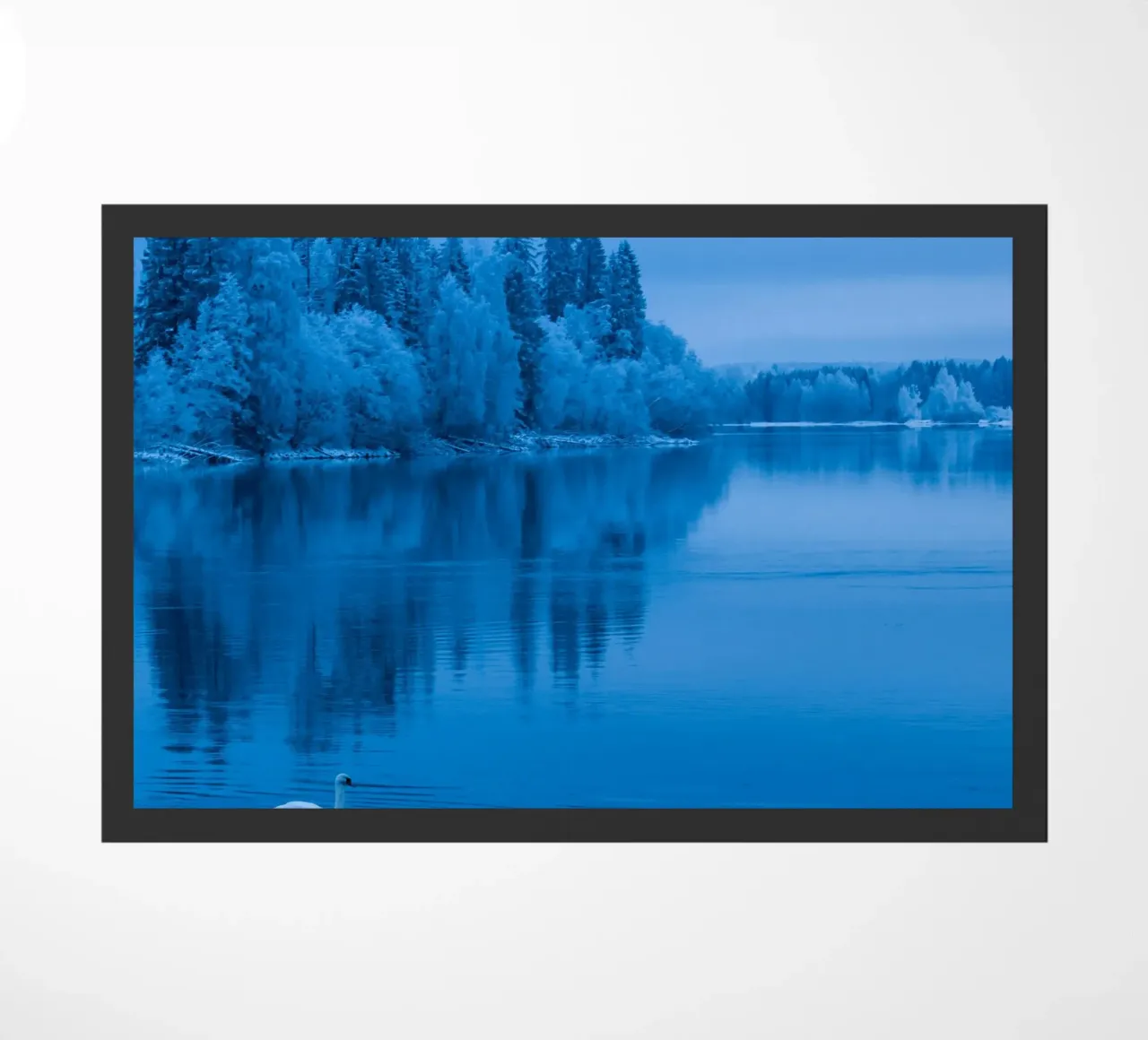 lago dei cigni zerbino da Bleu