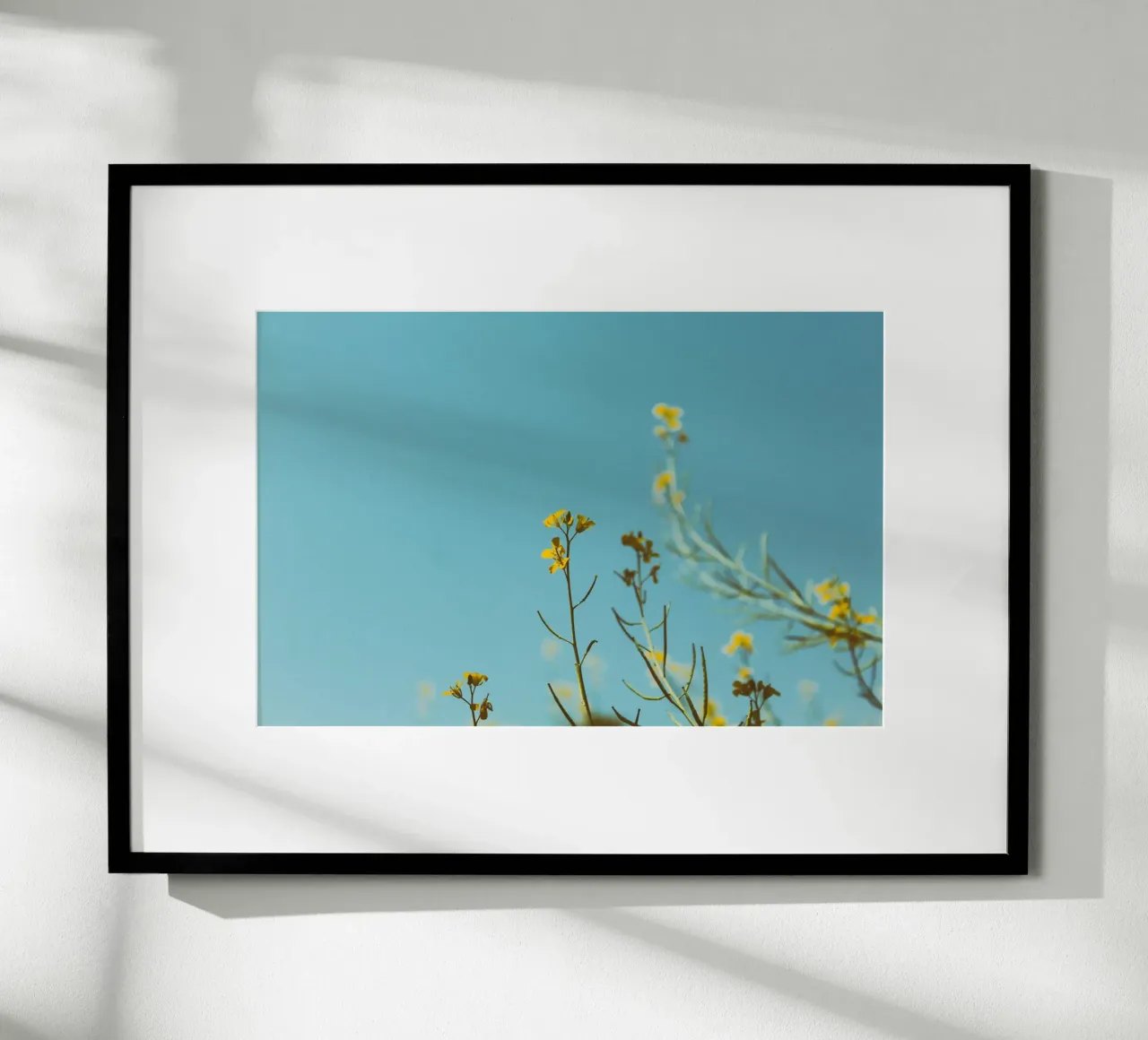 flores claras poster de Bleu