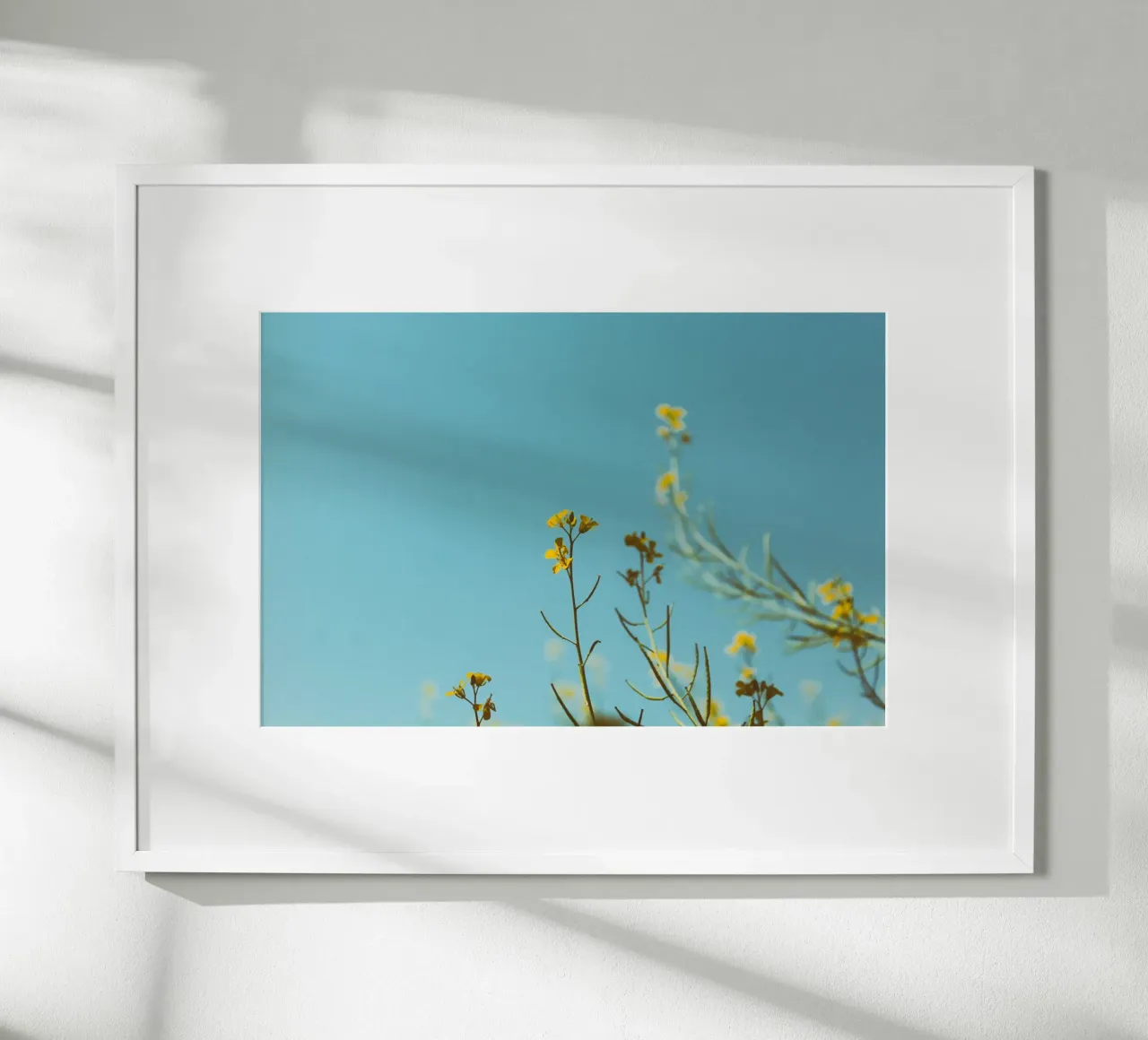 flores claras poster de Bleu