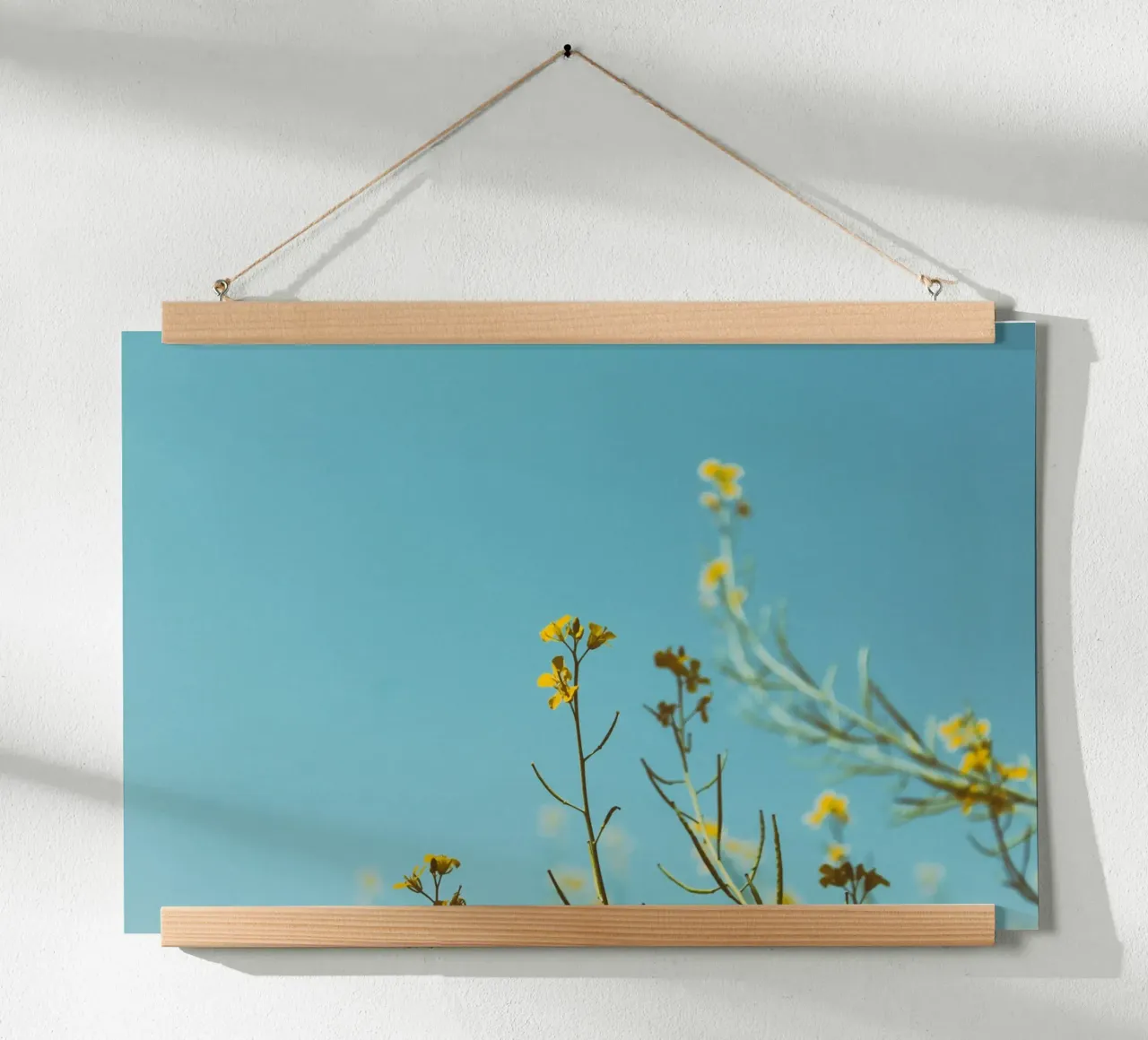 flores claras poster de Bleu