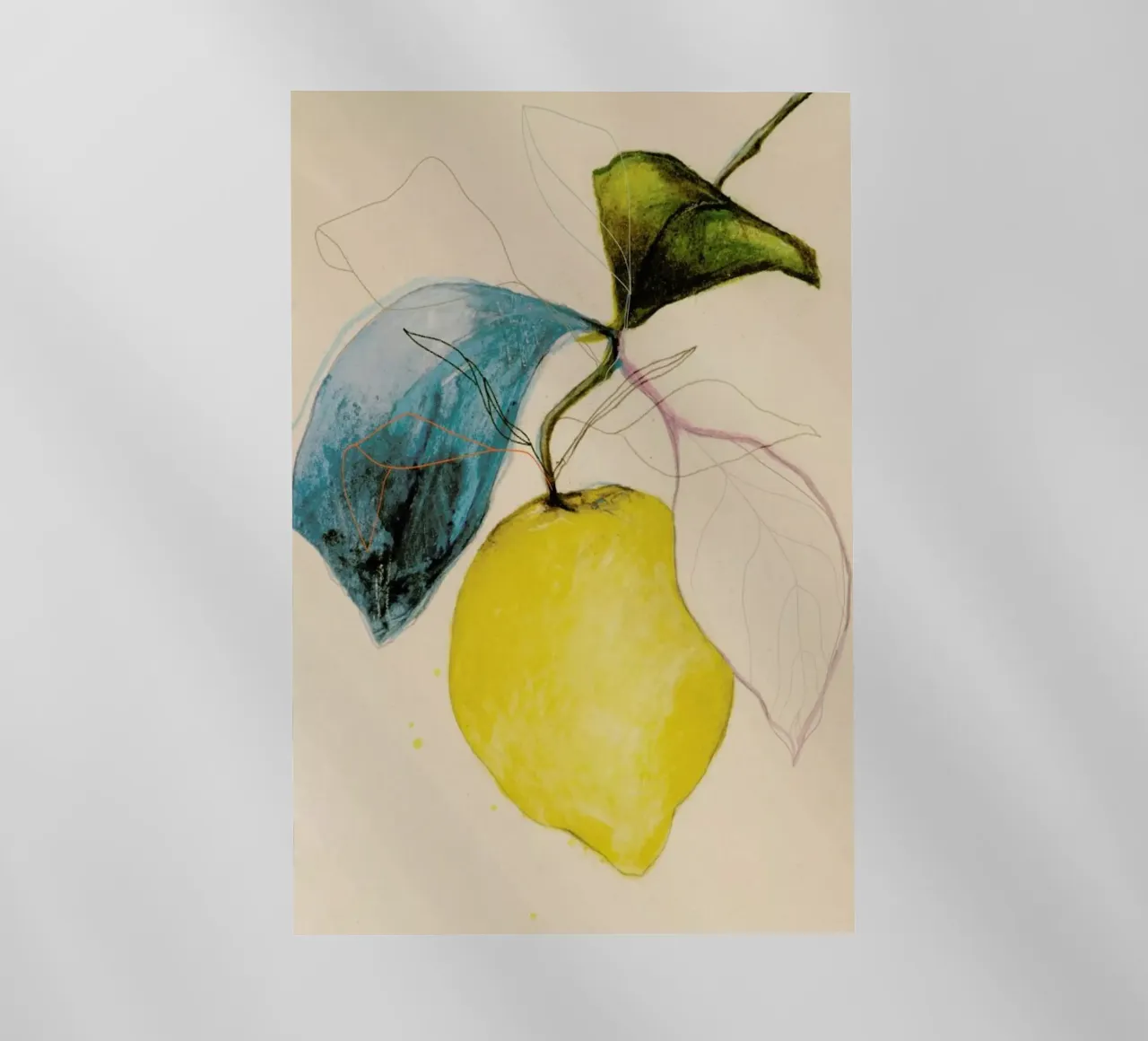 Lemonstudy 04 pellicola backlit da Leigh Viner