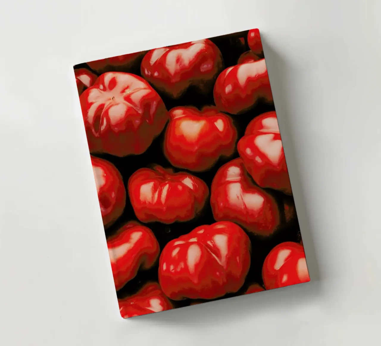 Gogoschar notebook by Sebastian Hilgetag