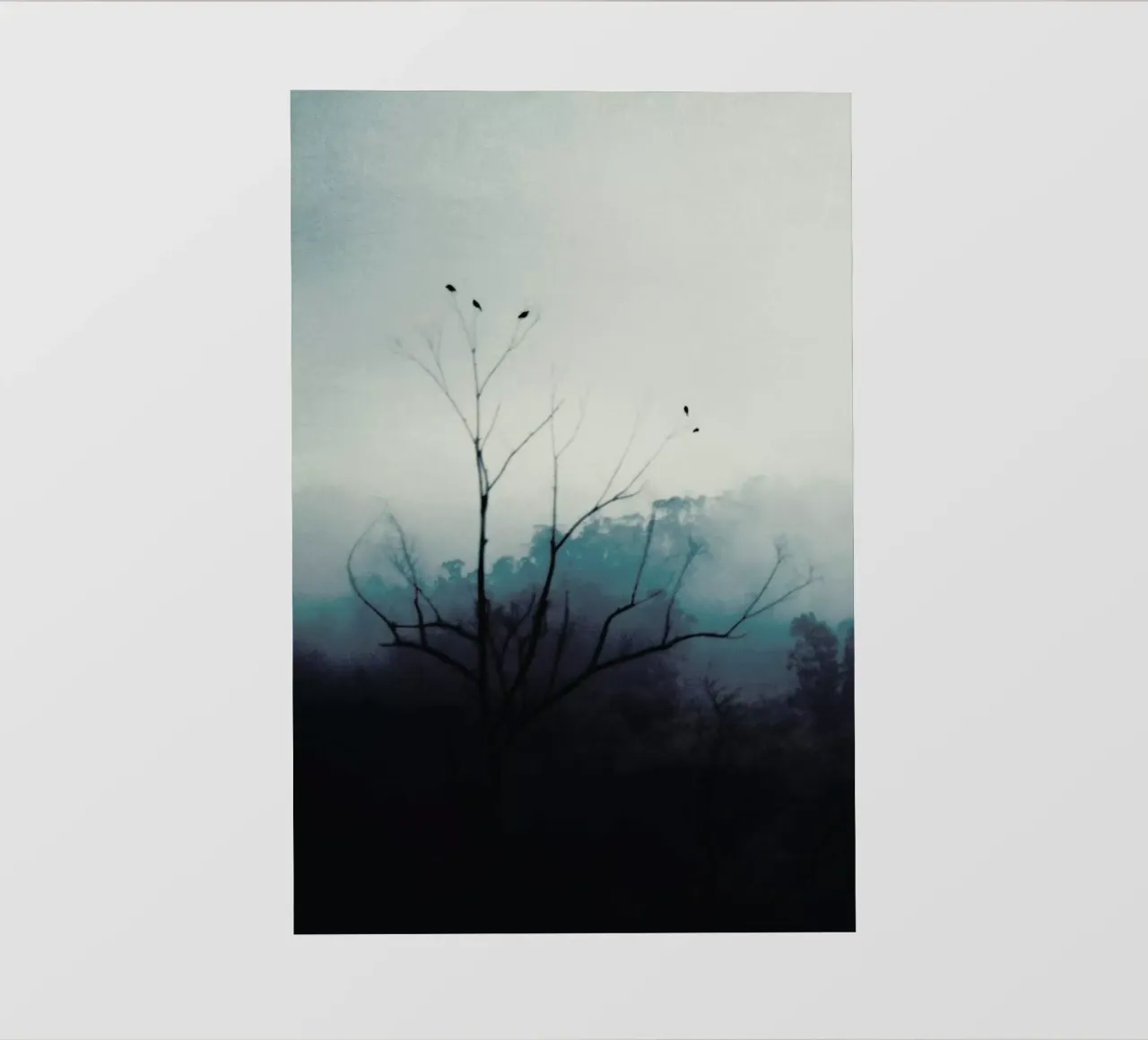 Morning Bird Song pellicola backlit da Ingrid Beddoes
