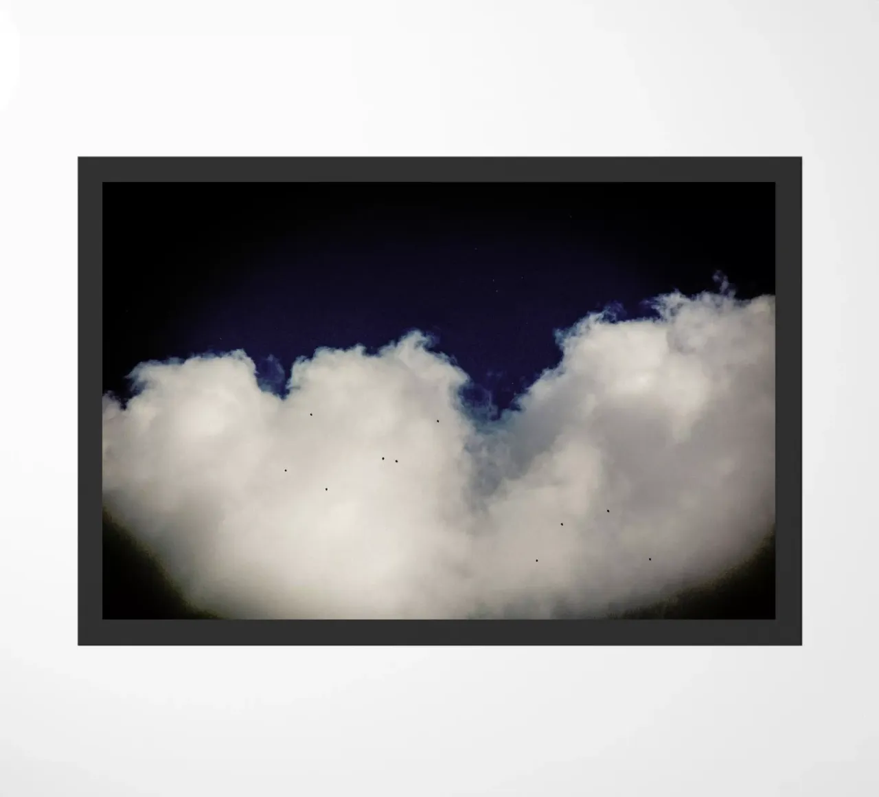 Balloons zerbino da Tal Paz-Fridman