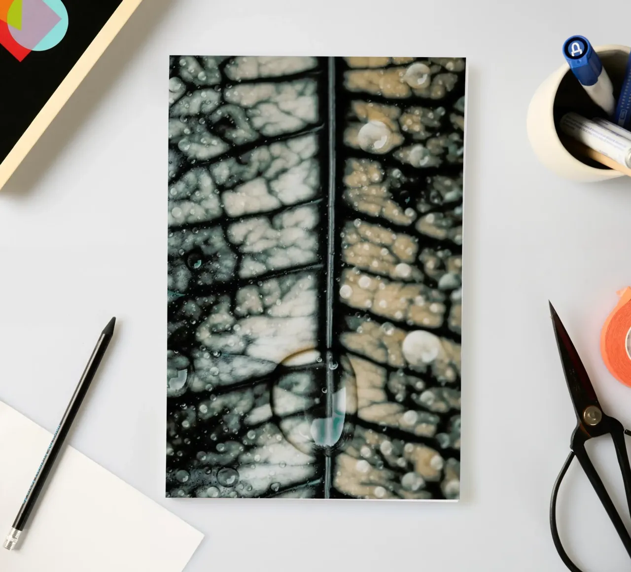 The Rain notebook by Ingrid Beddoes