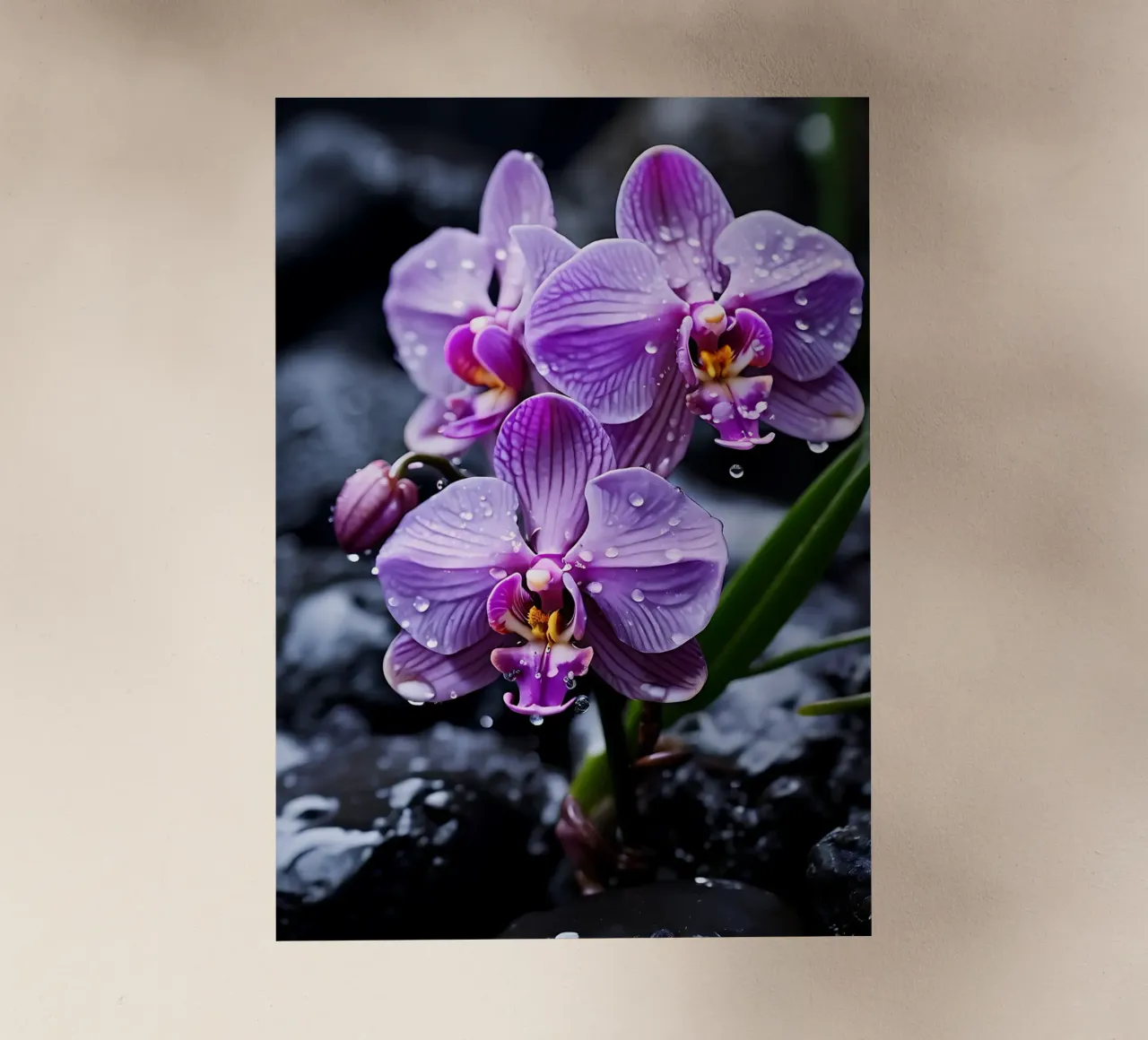 Orchidee con pietre_4 pellicola backlit da Farb- und Blütenzauber by LK