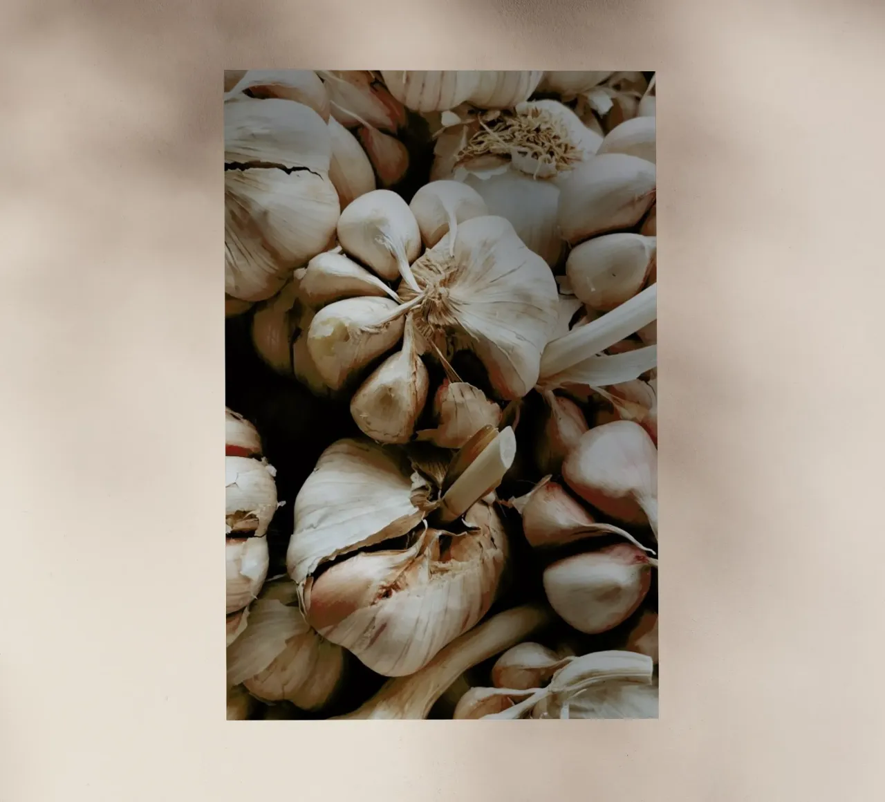 Kitchen Essentials – Garlic pellicola backlit da Sebastian Hilgetag