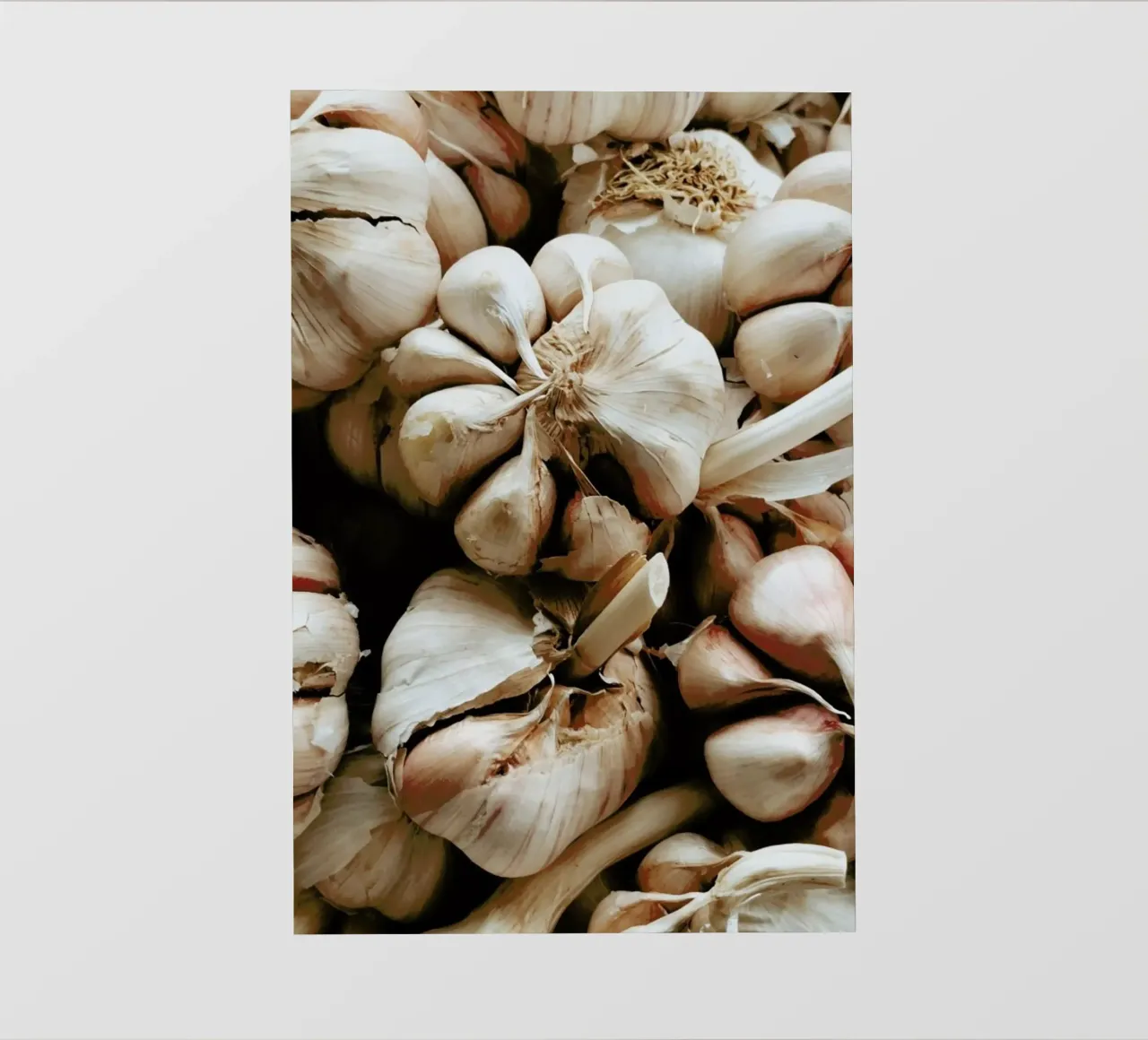 Kitchen Essentials – Garlic pellicola backlit da Sebastian Hilgetag