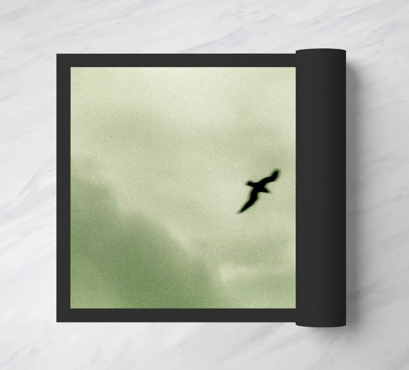 Bird zerbino da Tal Paz-Fridman