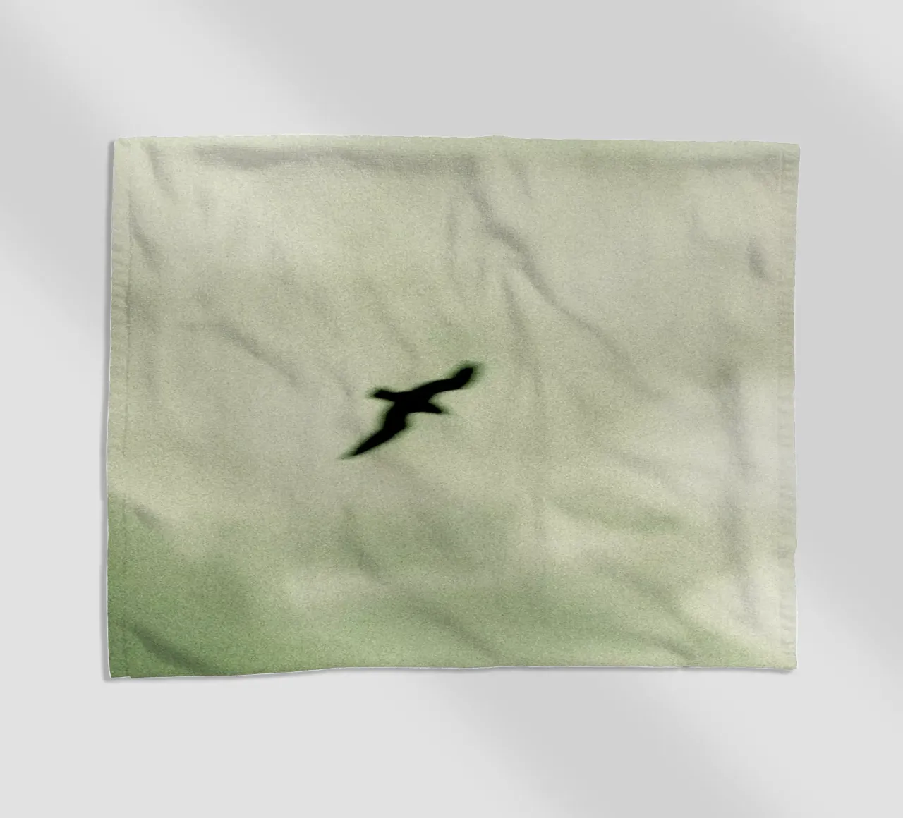 Bird telo mare da Tal Paz-Fridman