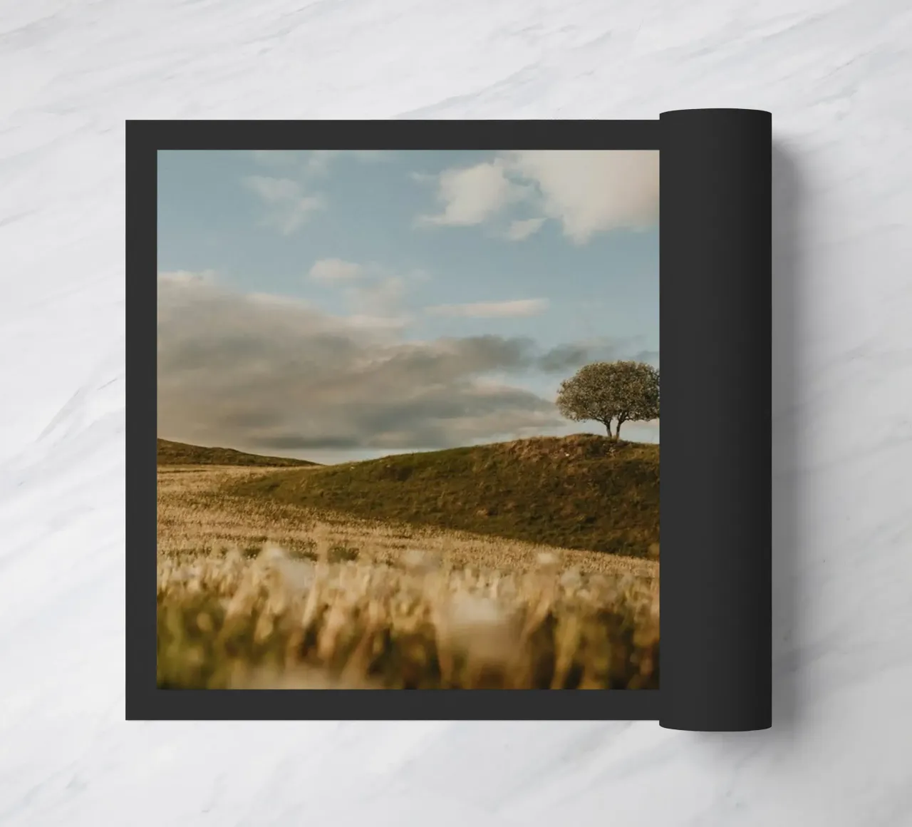 collina degli alberi zerbino da Earthly Visions