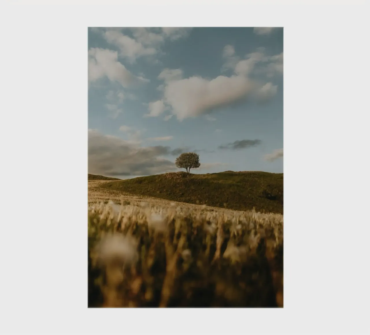 tree hill notebook by Earthly Visions