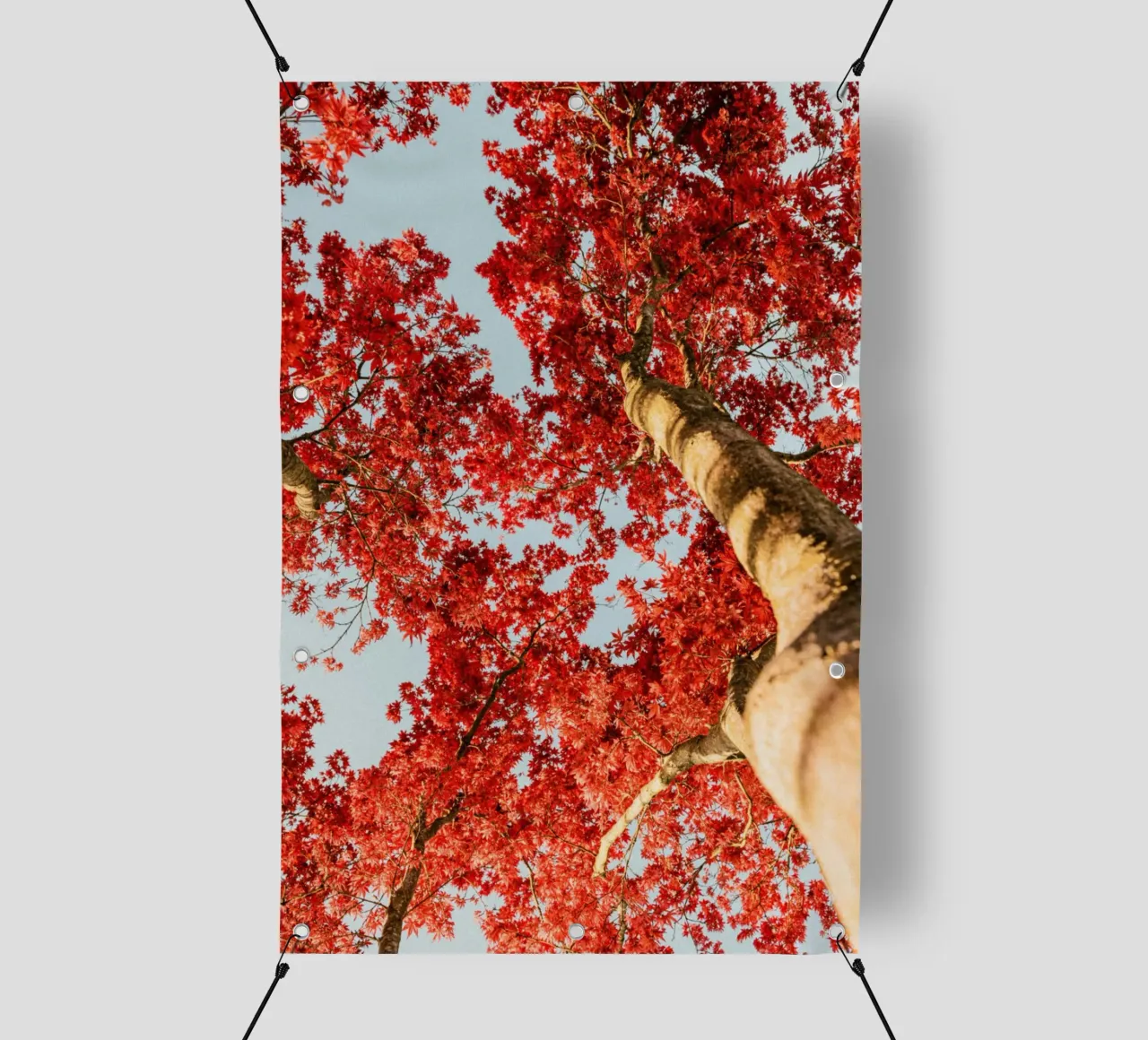 albero foglie rosse telo in pvc da Earthly Visions