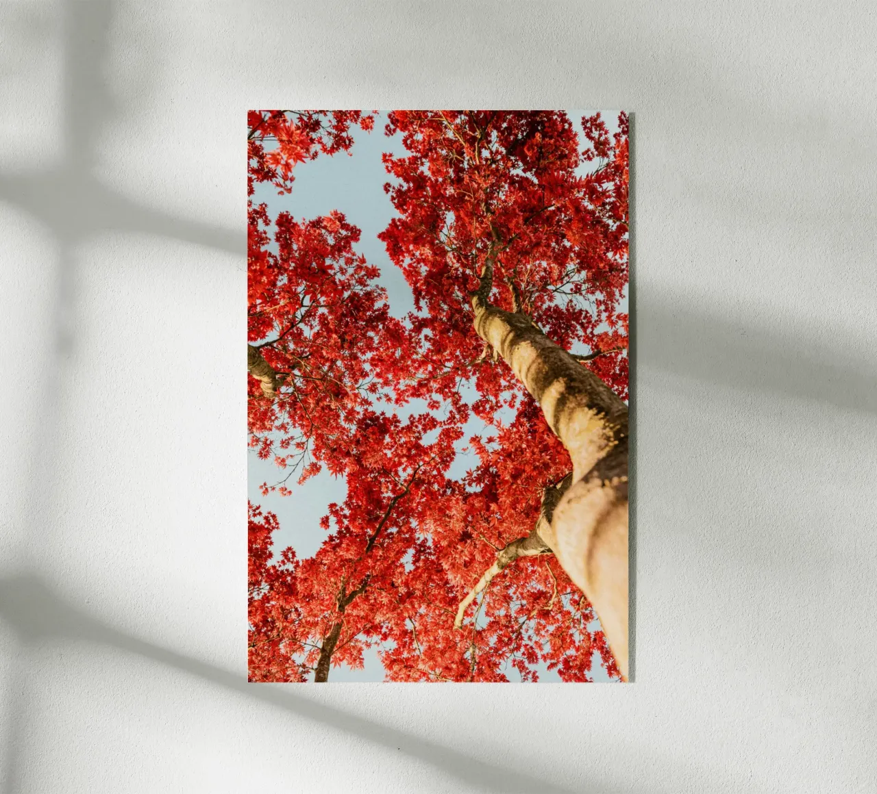tree red leaves acrylic glass by Earthly Visions