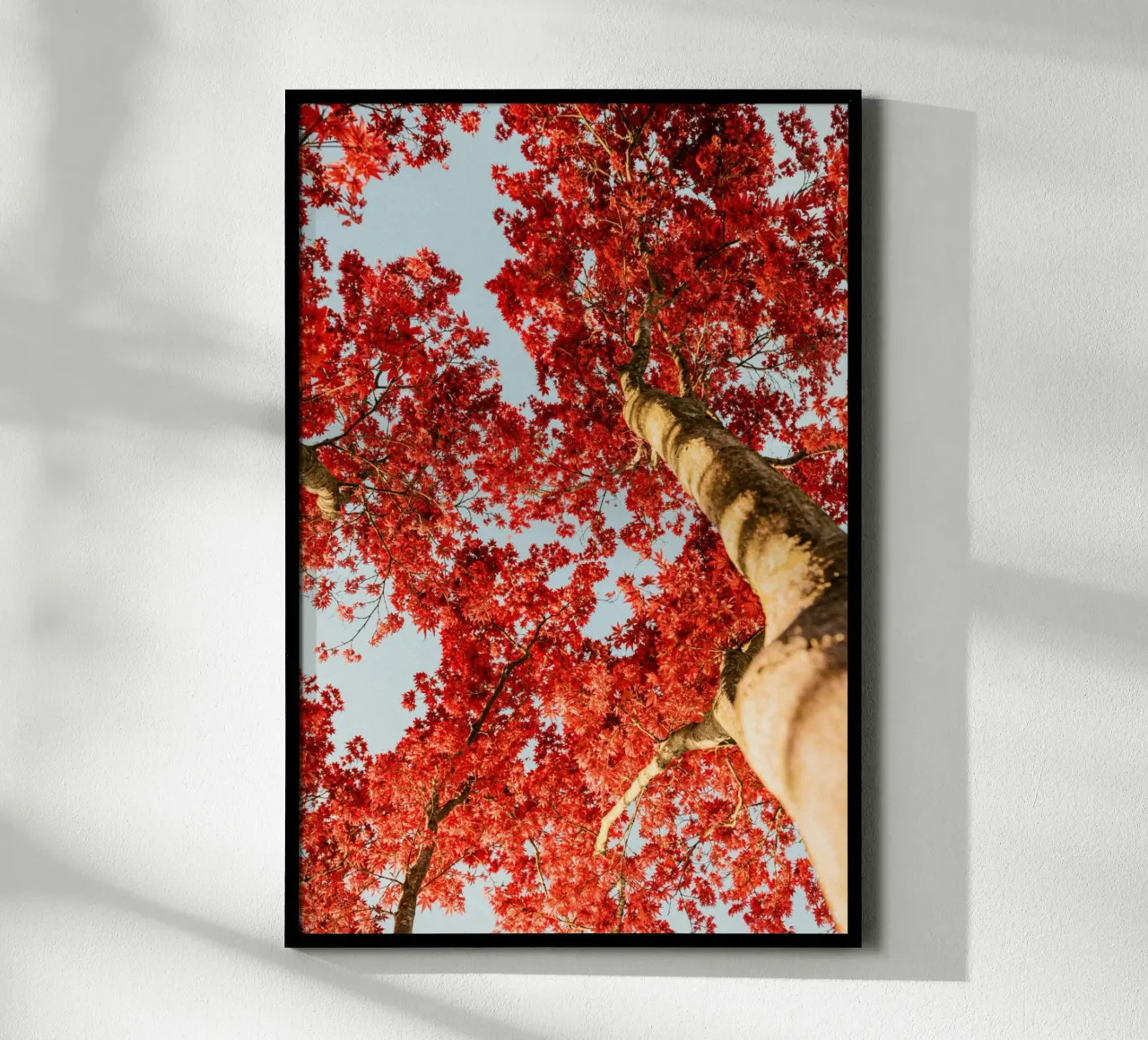 albero foglie rosse carta hahnemühle da Earthly Visions