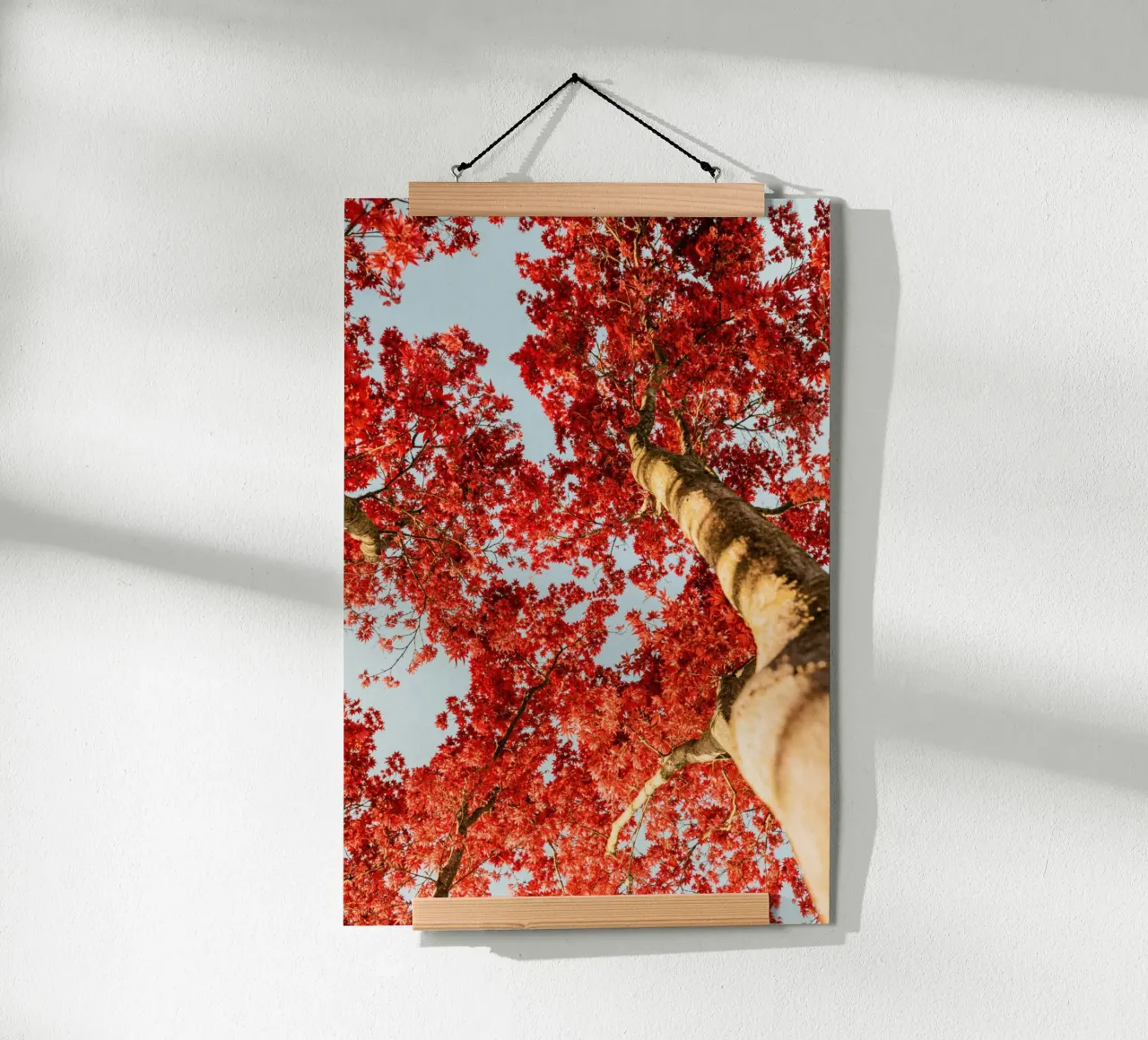 albero foglie rosse carta hahnemühle da Earthly Visions