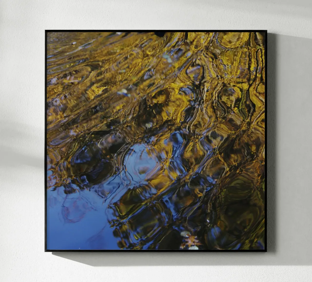 Goldwasser | o5 plexiglass da steffi | wasserwelt