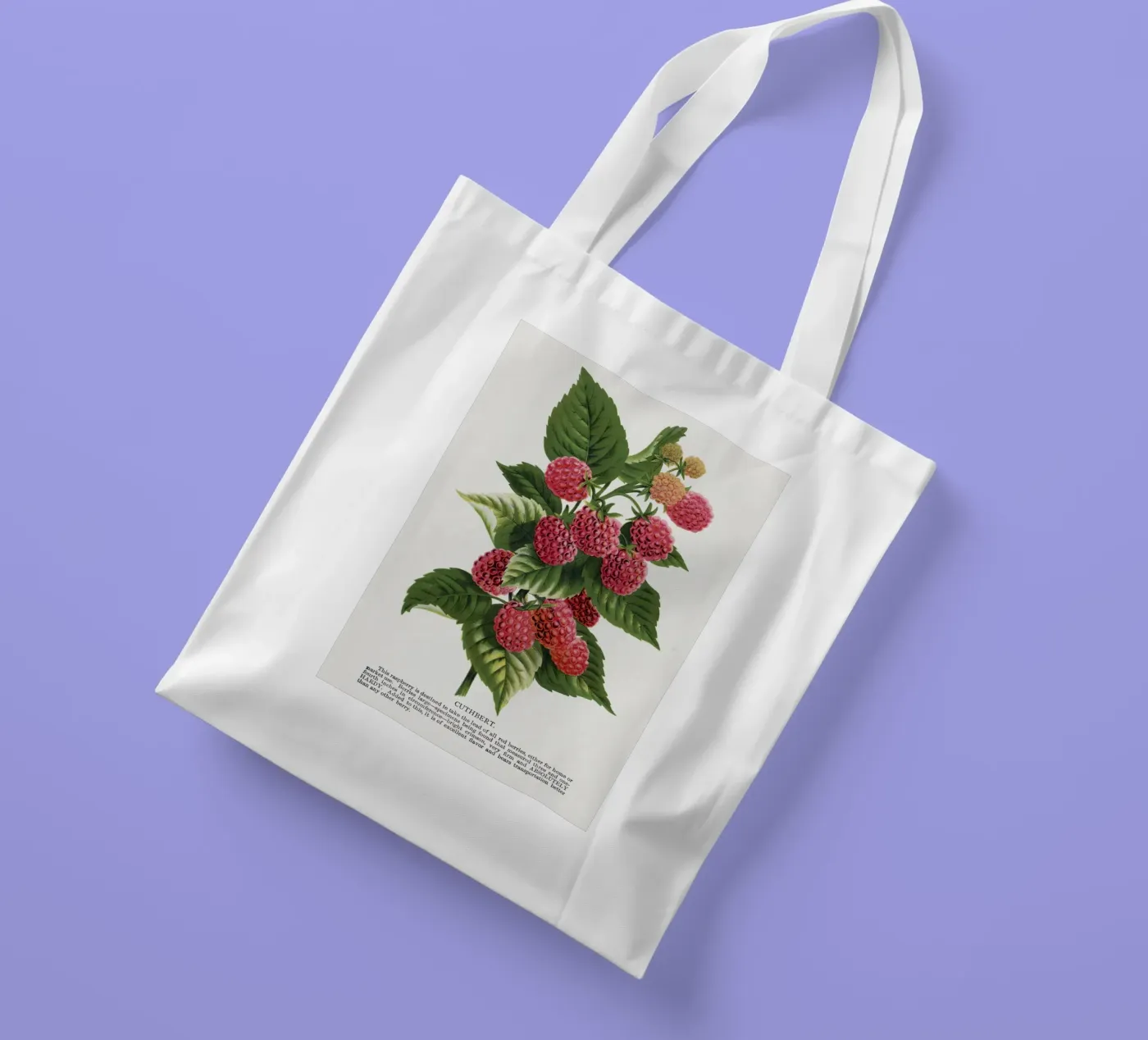Cuthbert raspberry tote bag by vintageshop