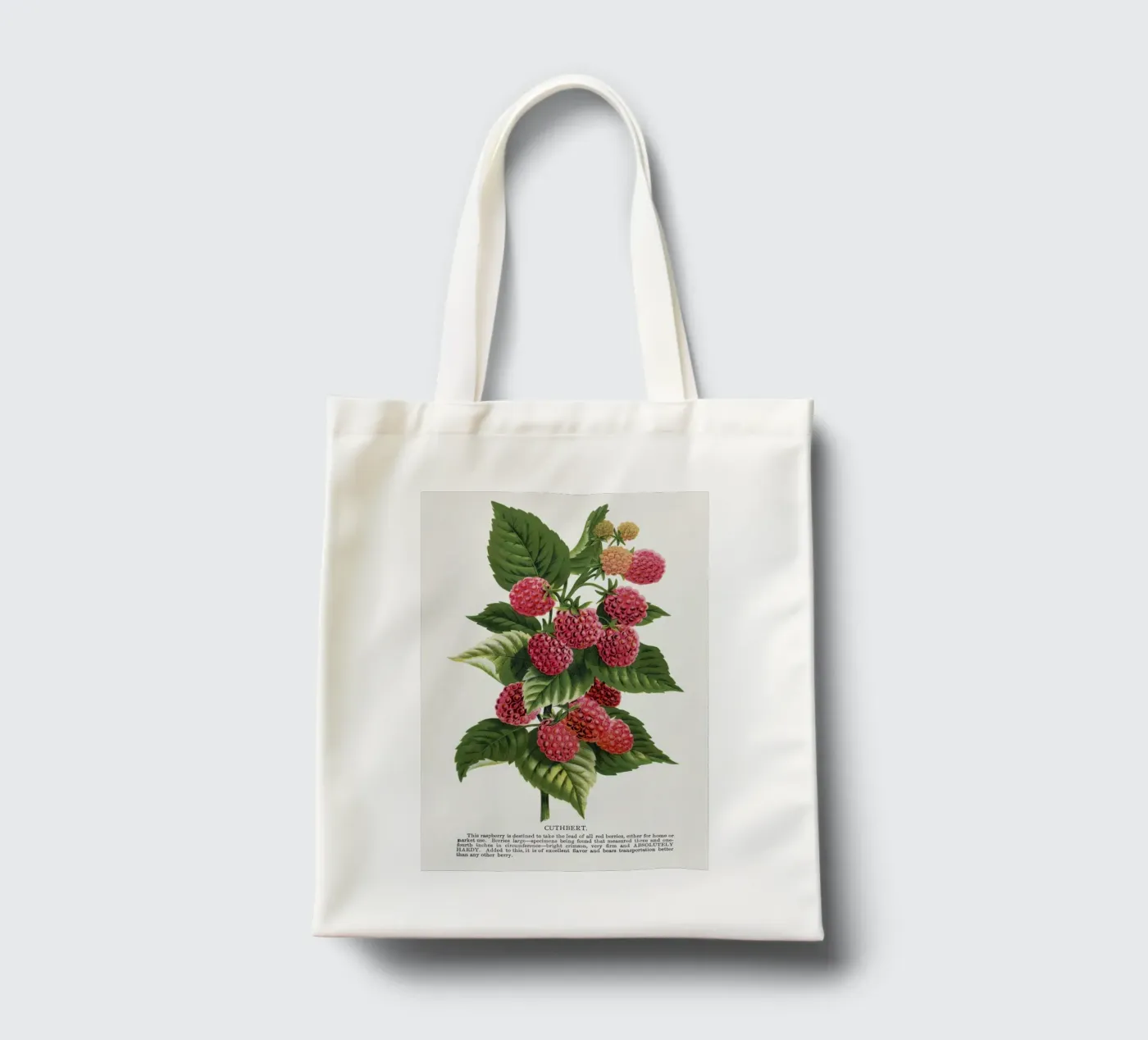 Cuthbert raspberry tote bag by vintageshop