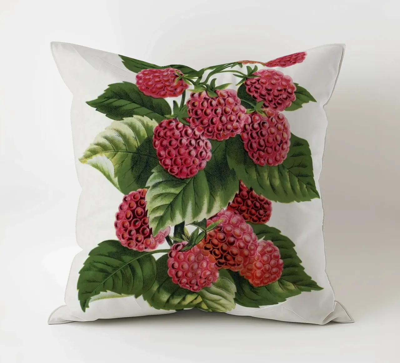 Cuthbert raspberry cuscino da vintageshop