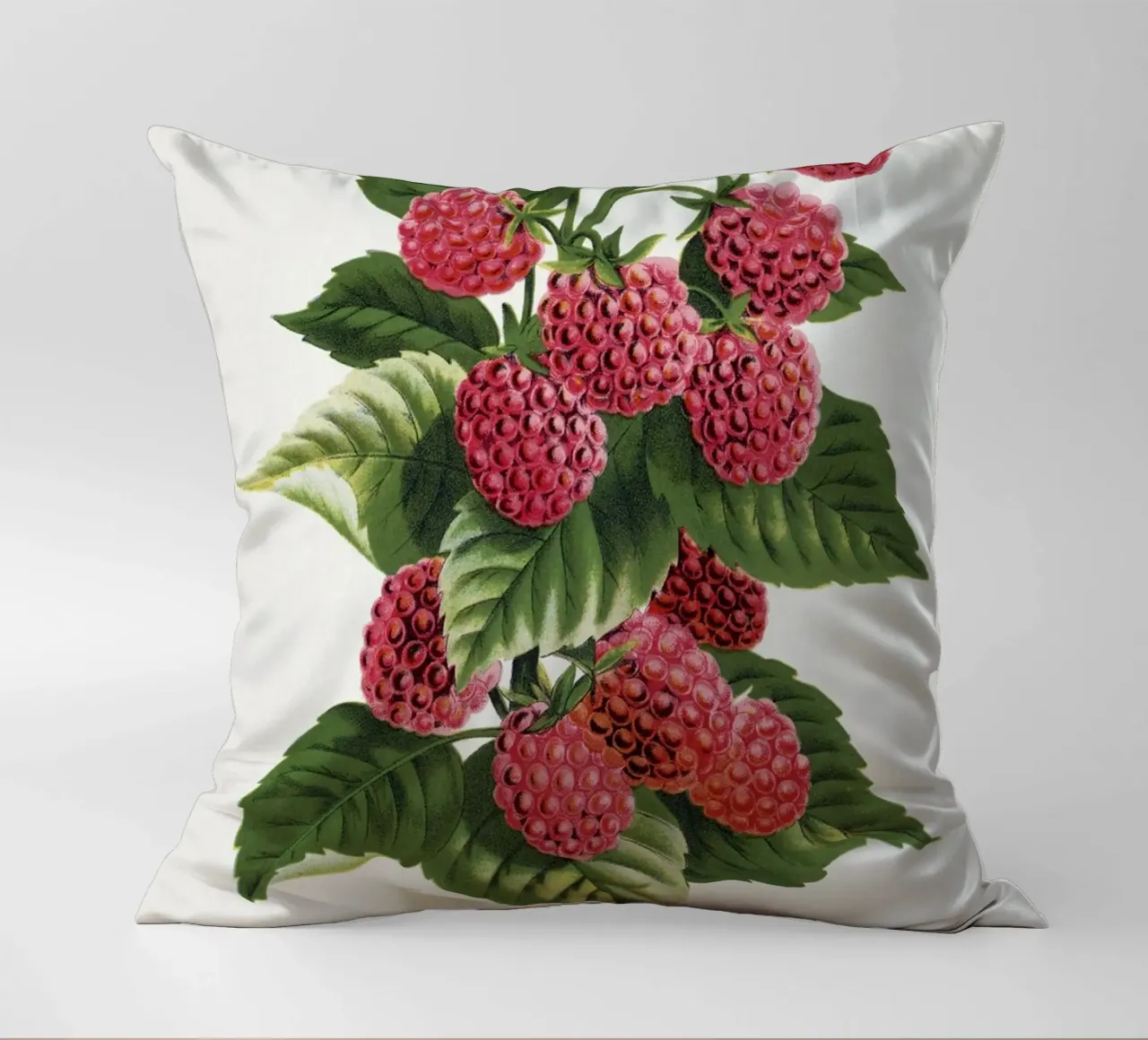 Cuthbert raspberry cuscino da vintageshop