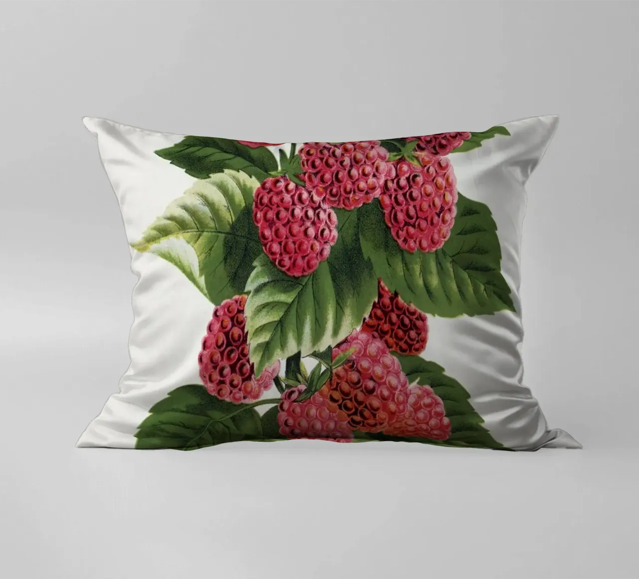 Cuthbert raspberry cuscino da vintageshop