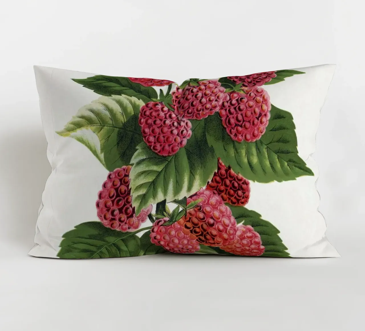 Cuthbert raspberry cuscino da vintageshop