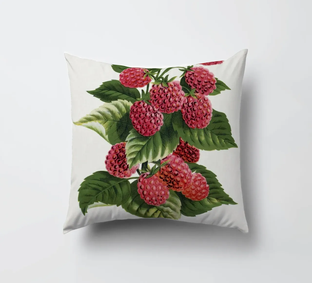 Cuthbert raspberry cuscino da vintageshop