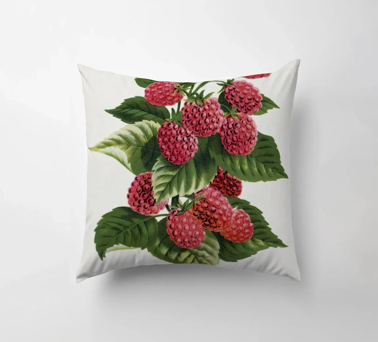 Cuthbert raspberry cuscino da vintageshop