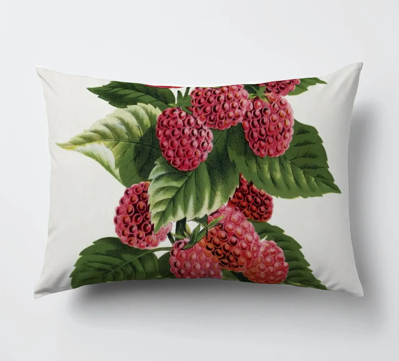 Cuthbert raspberry cuscino da vintageshop