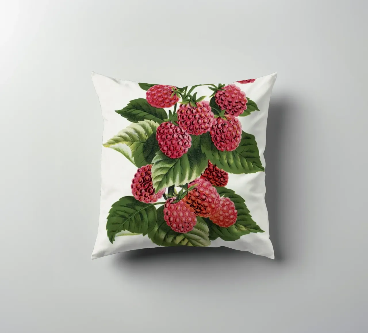 Cuthbert raspberry cuscino da vintageshop