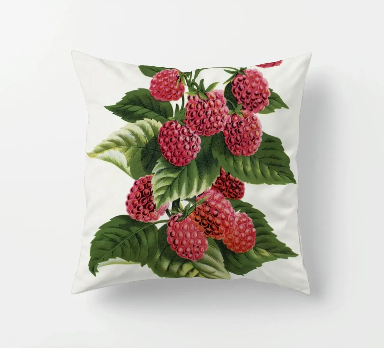 Cuthbert raspberry cuscino da vintageshop