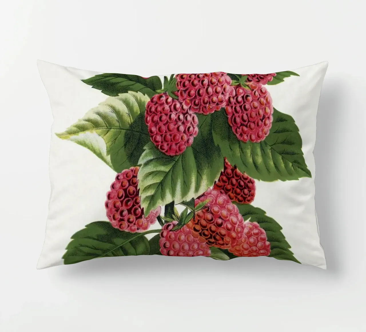 Cuthbert raspberry cuscino da vintageshop