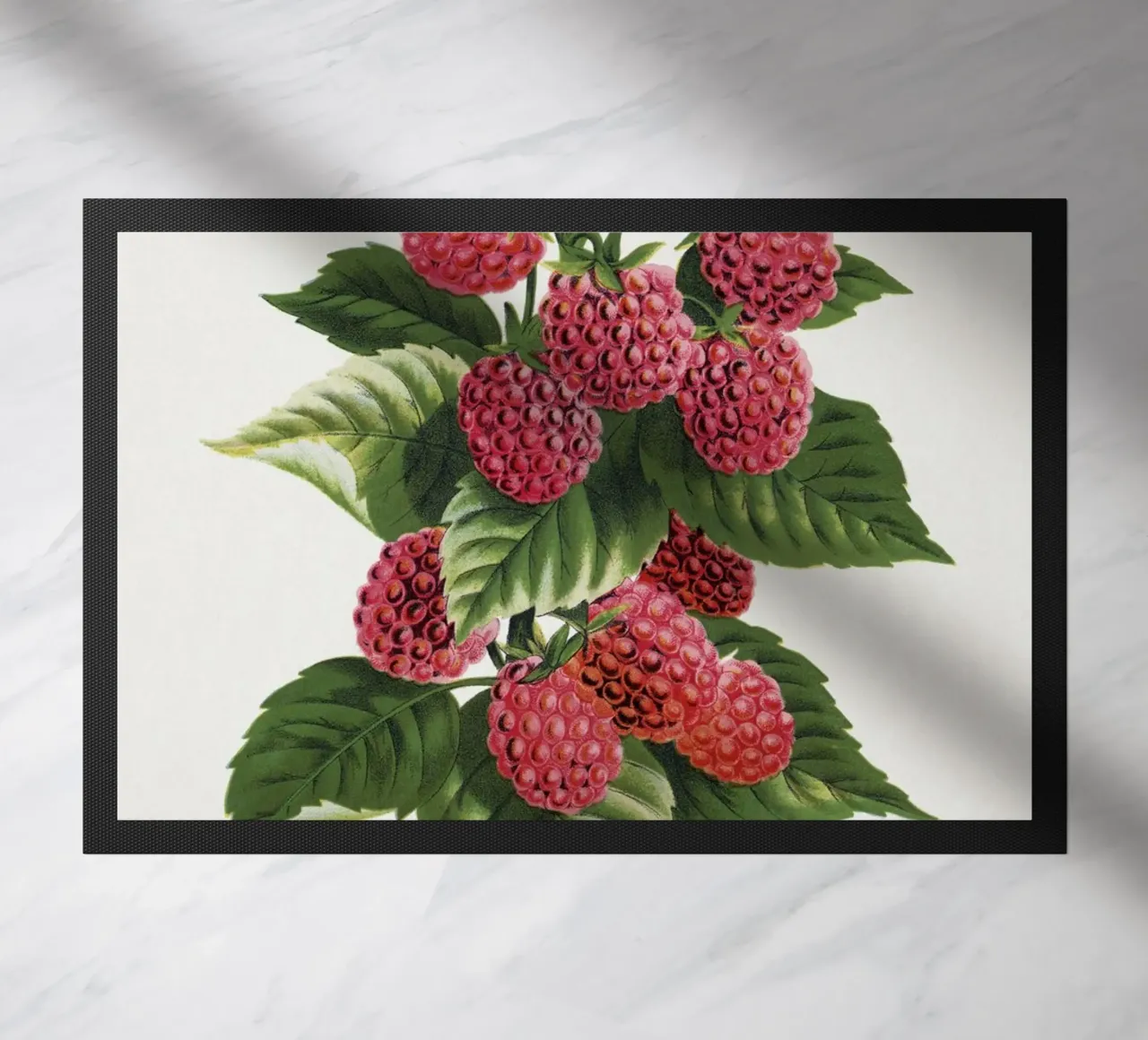 Cuthbert raspberry zerbino da vintageshop