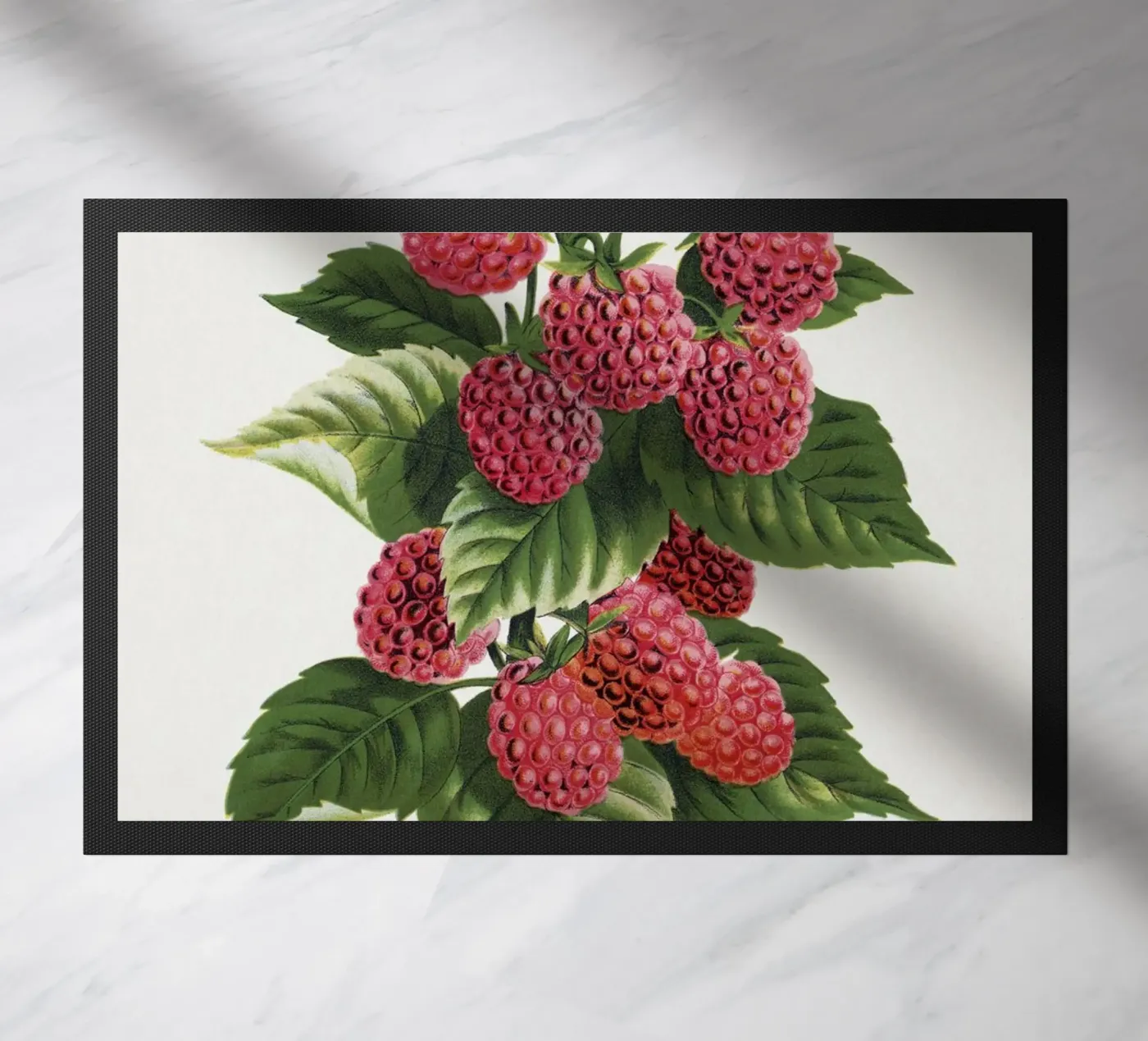 Cuthbert raspberry zerbino da vintageshop