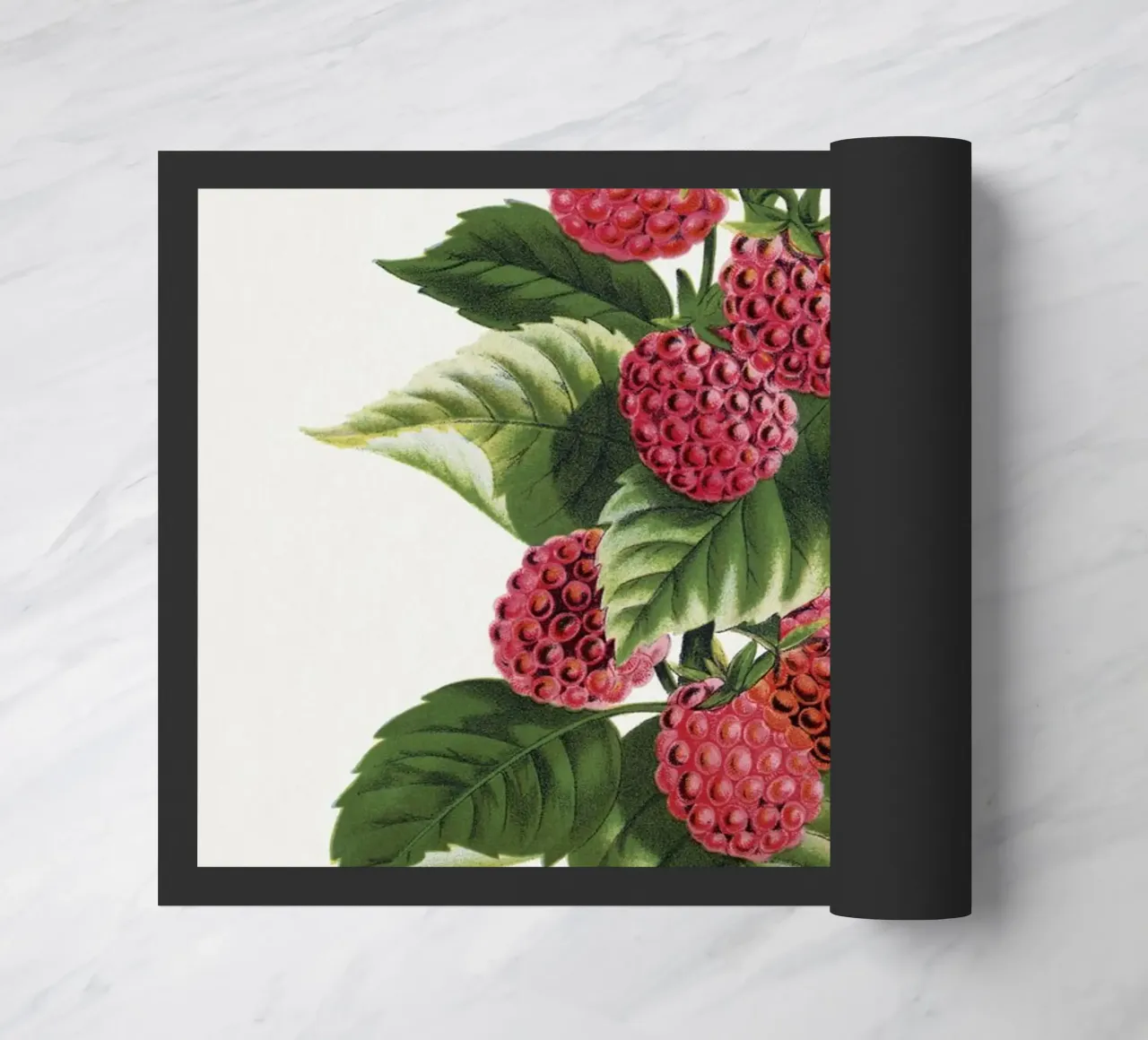 Cuthbert raspberry zerbino da vintageshop