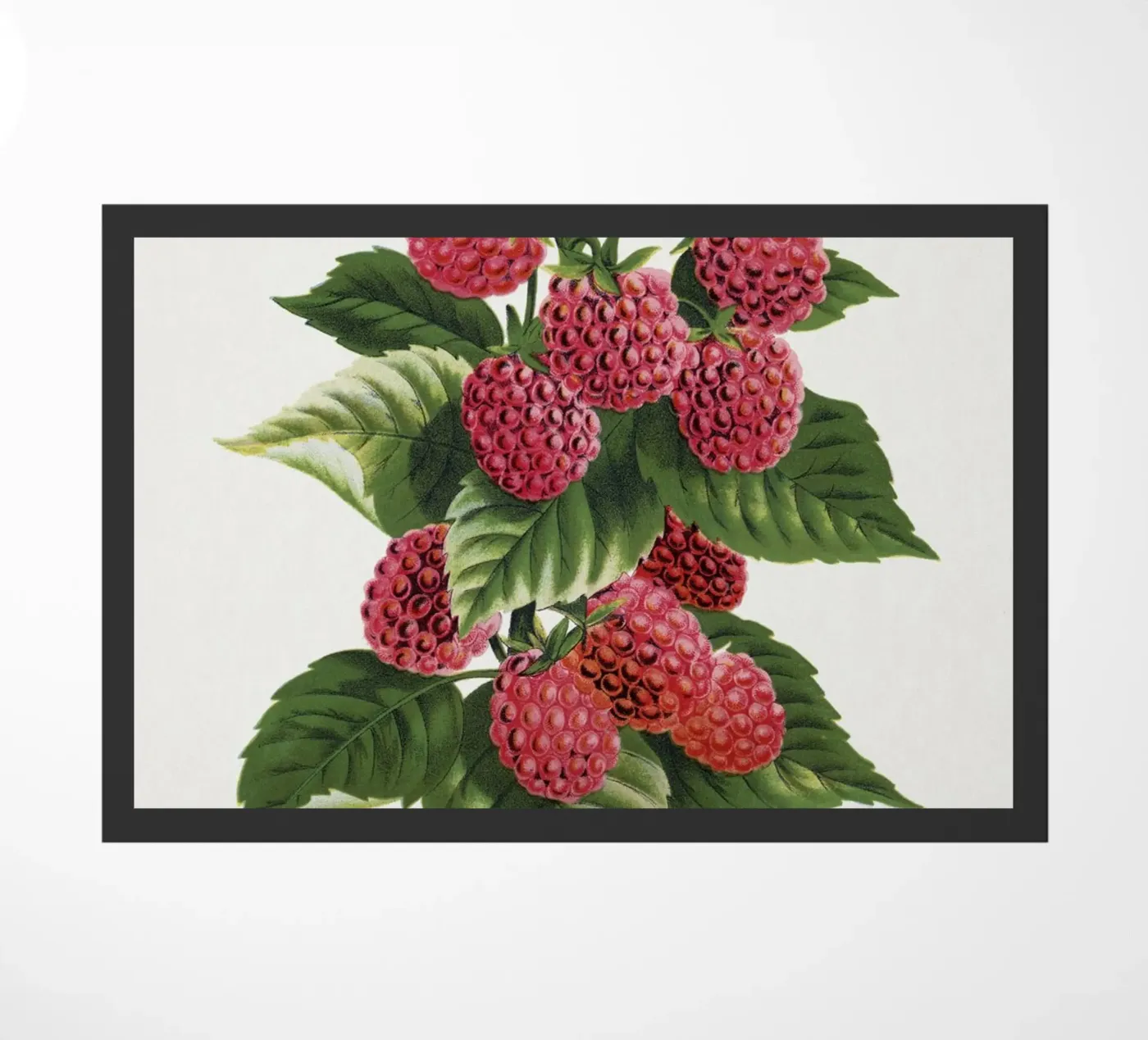 Cuthbert raspberry Fußmatte von vintageshop