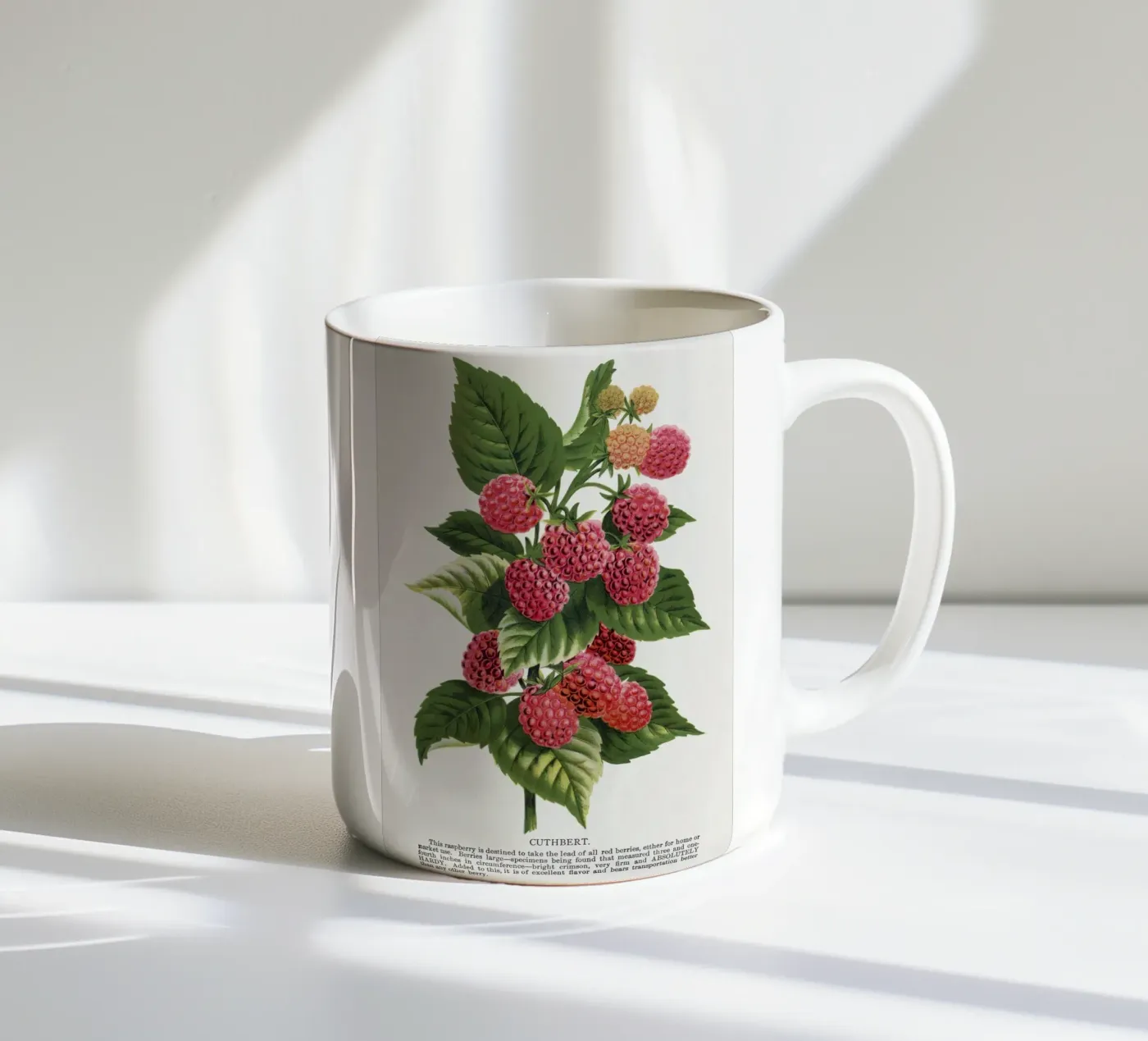 Cuthbert raspberry ceramic mug by vintageshop