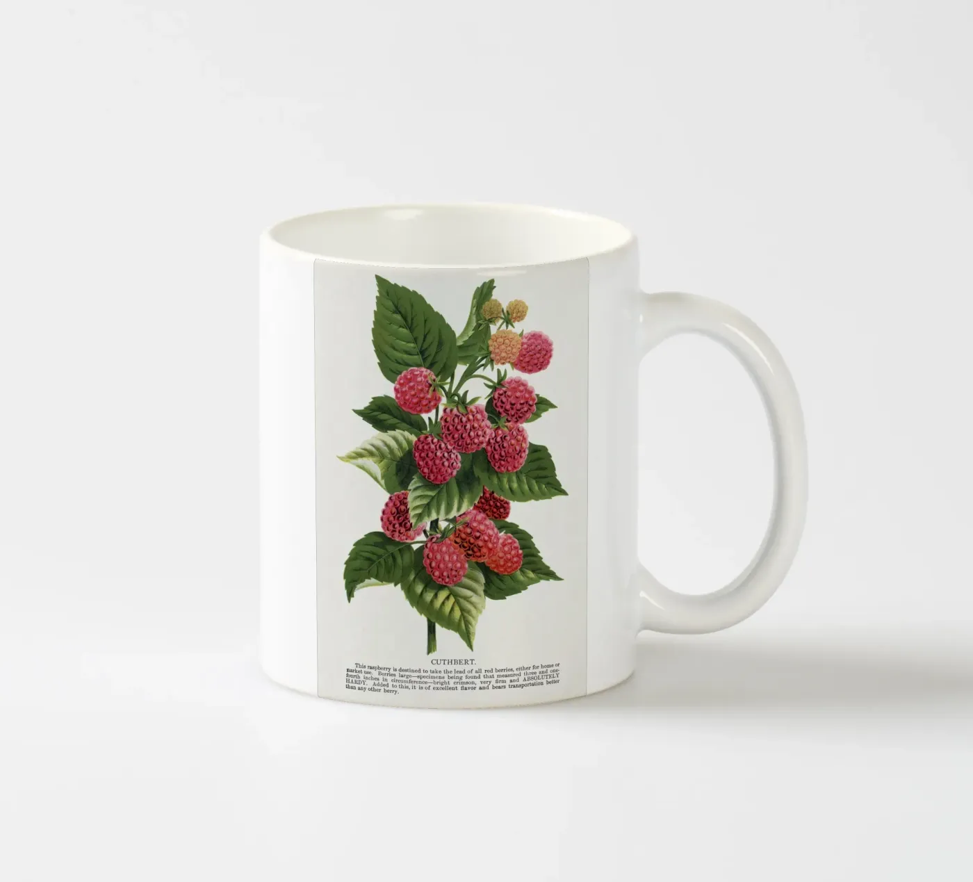 Cuthbert raspberry ceramic mug by vintageshop