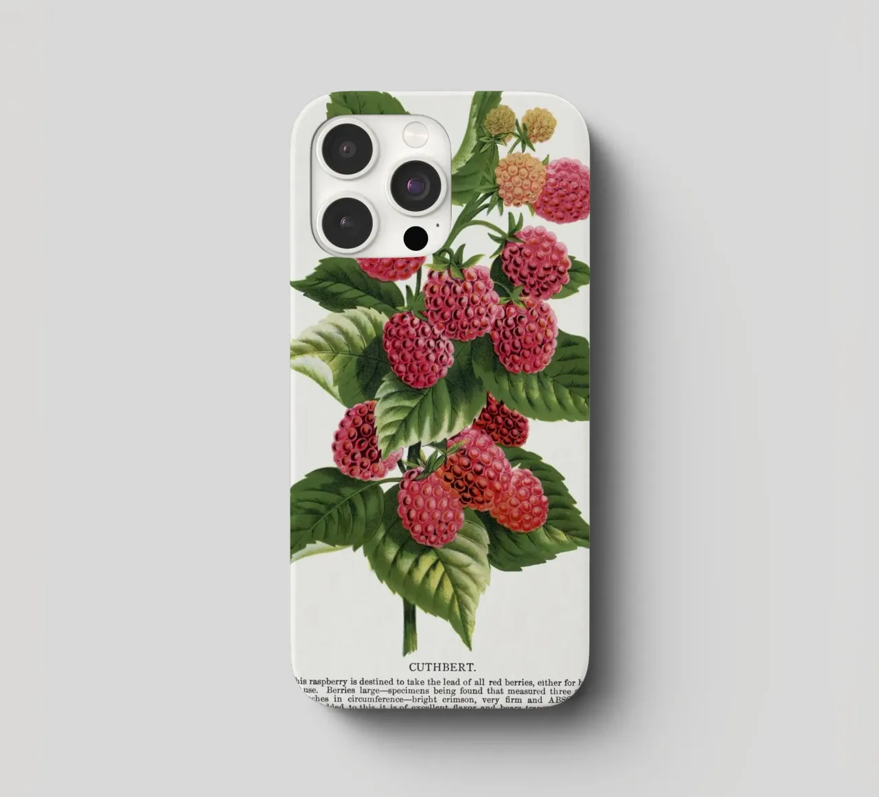 Cuthbert raspberry cover iphone da vintageshop