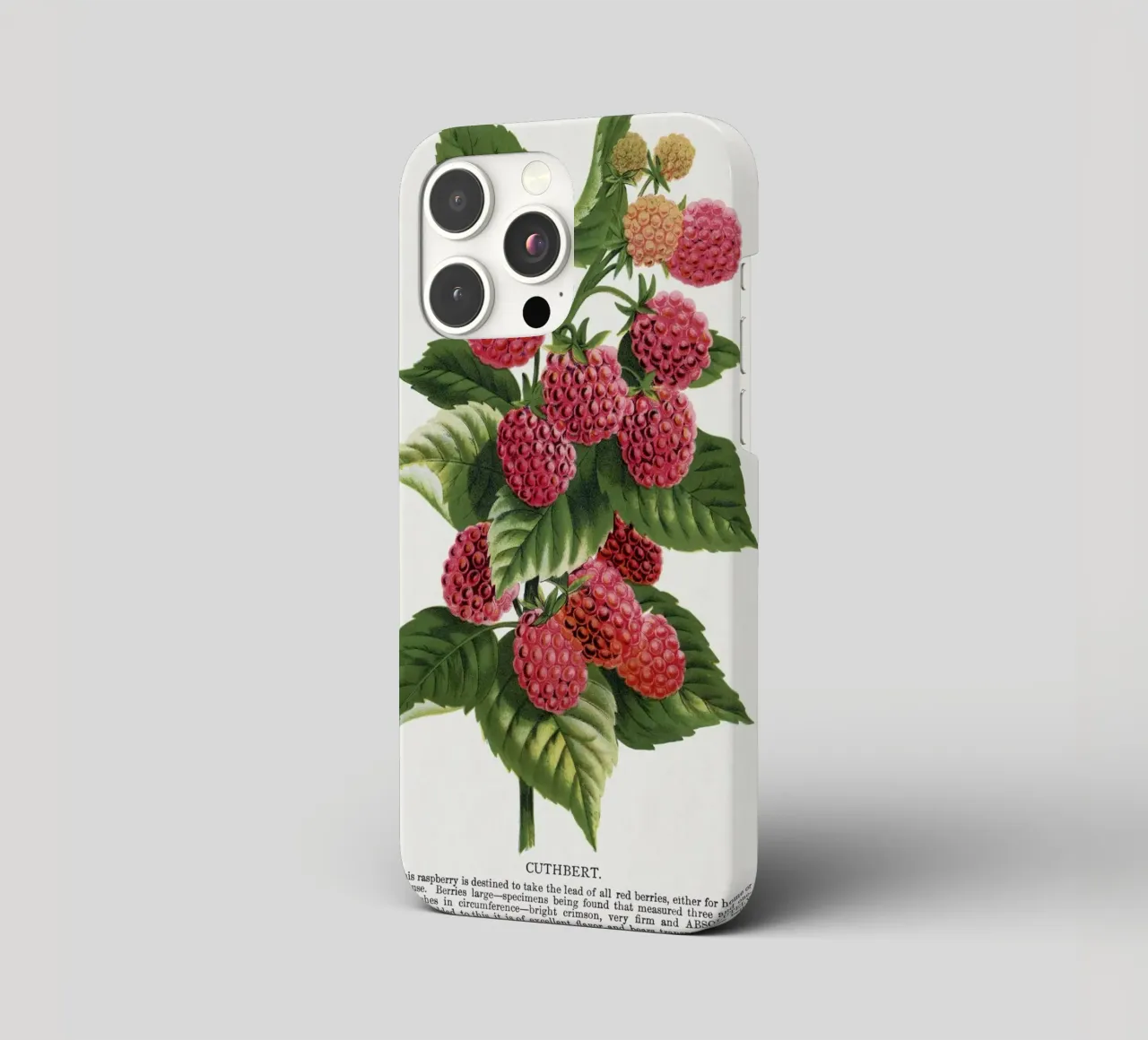 Cuthbert raspberry cover iphone da vintageshop