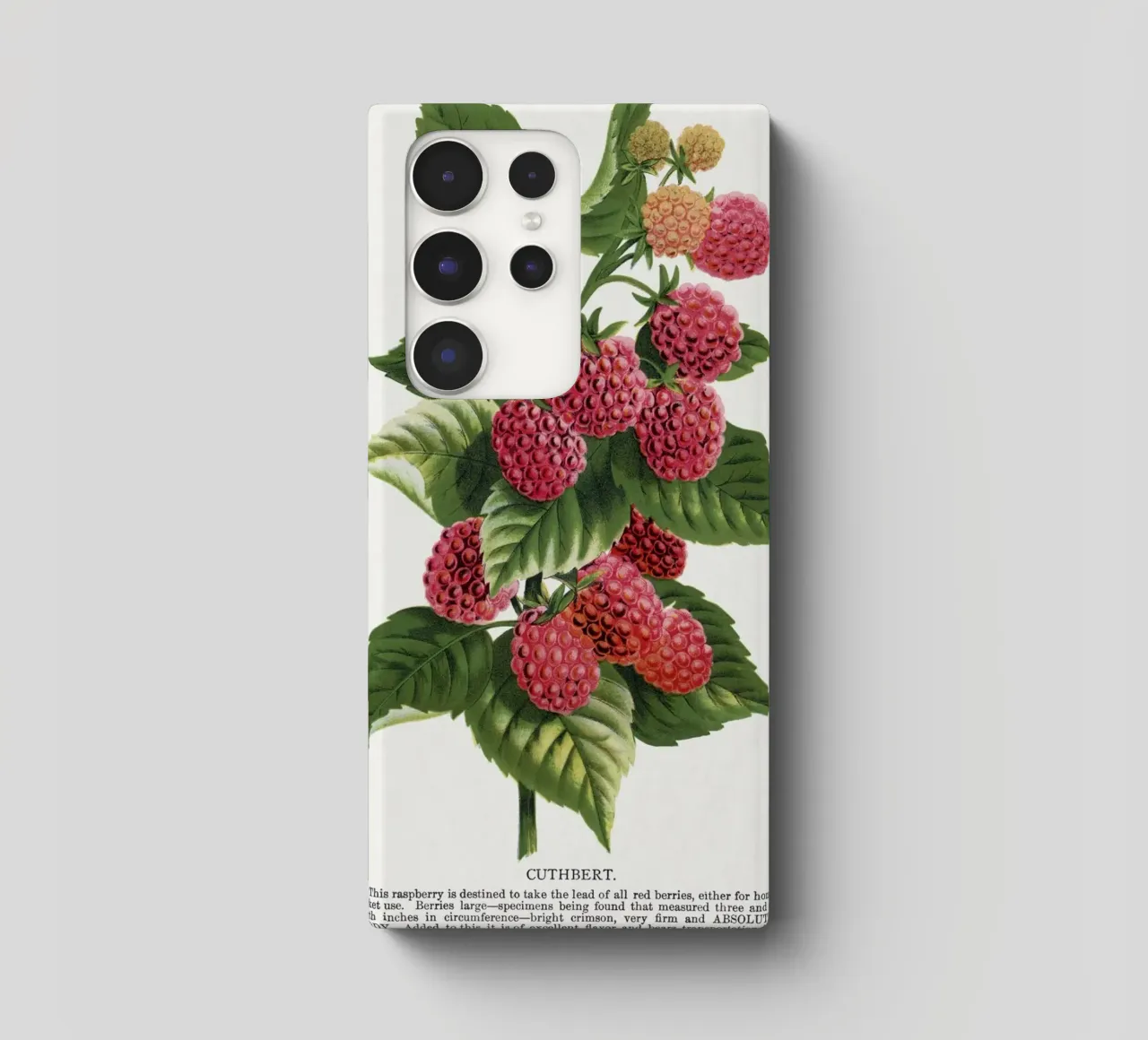 Cuthbert raspberry cover samsung da vintageshop