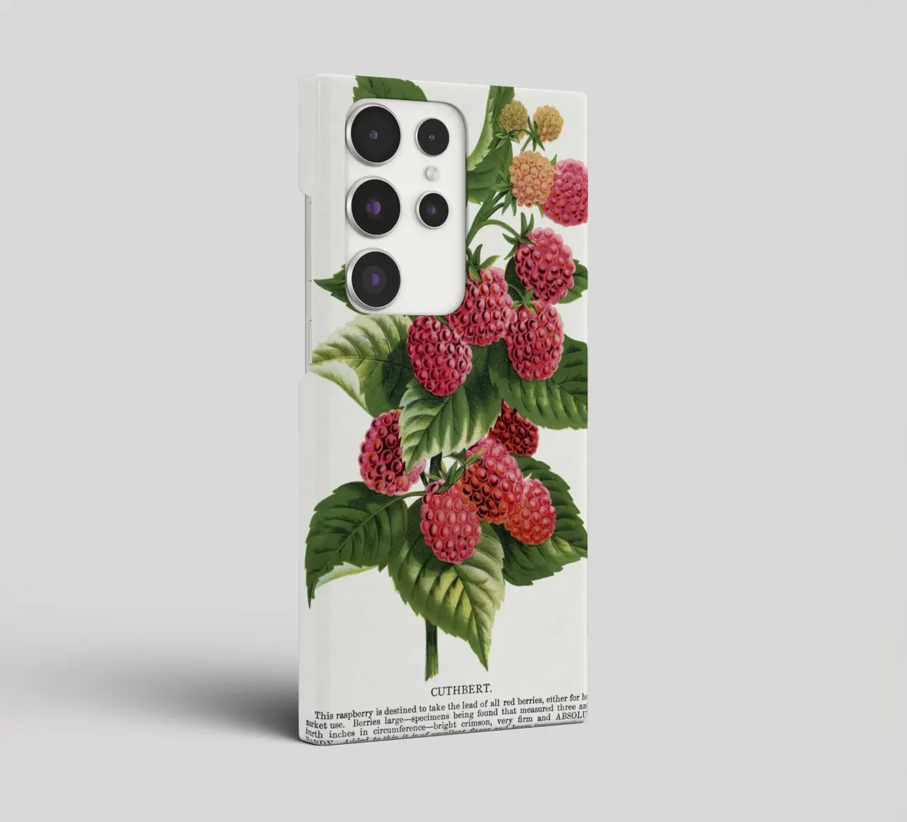 Cuthbert raspberry cover samsung da vintageshop