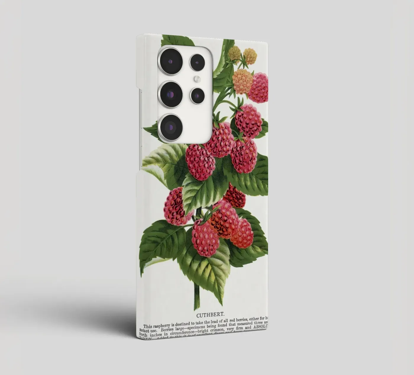 Cuthbert raspberry Samsung Hülle von vintageshop