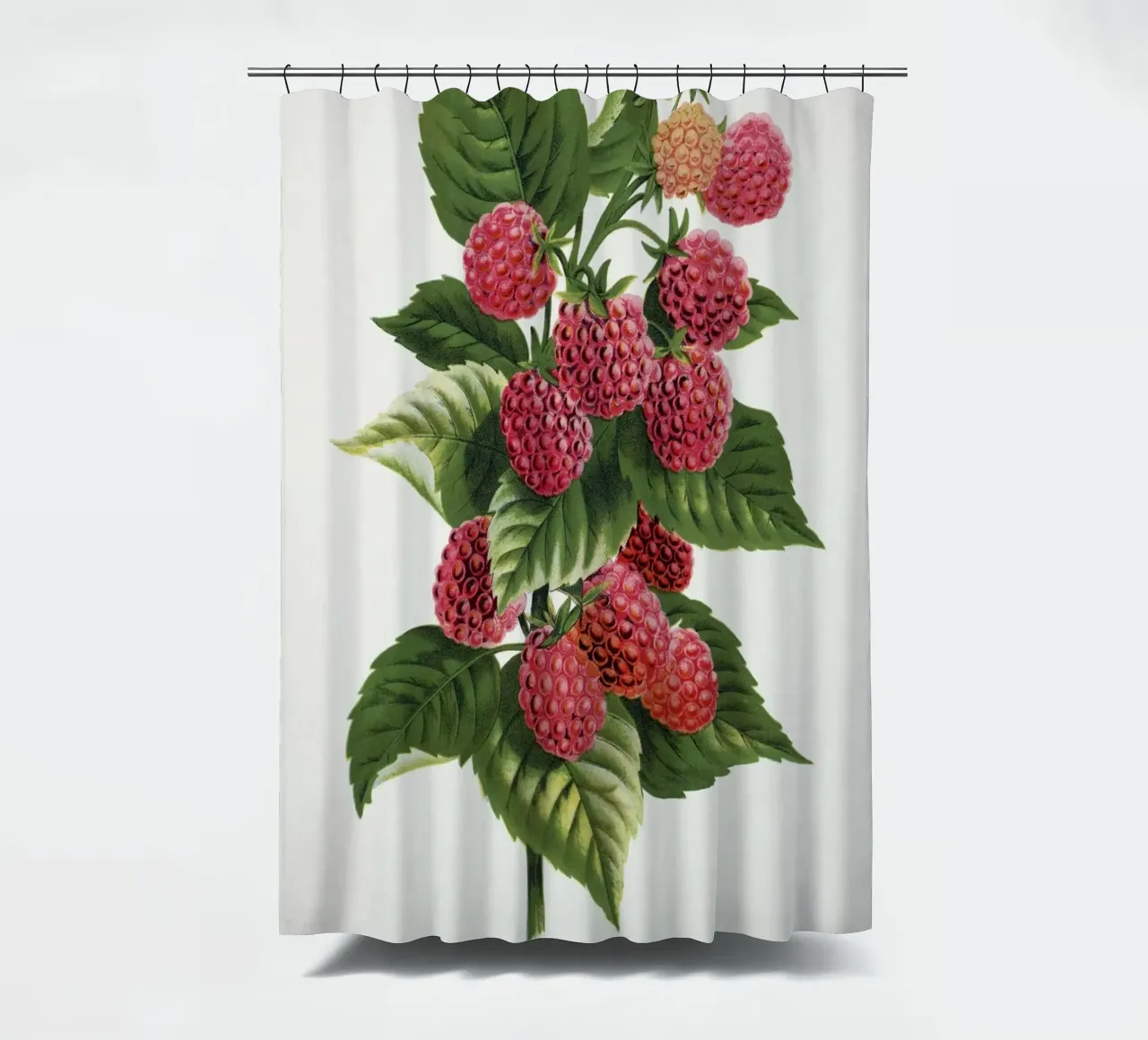 Cuthbert raspberry Duschvorhang von vintageshop