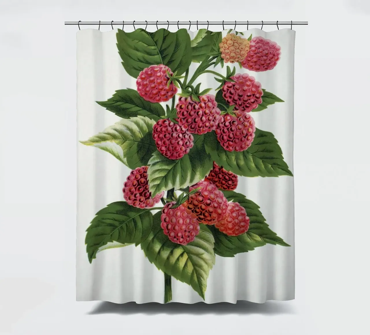 Cuthbert raspberry Duschvorhang von vintageshop