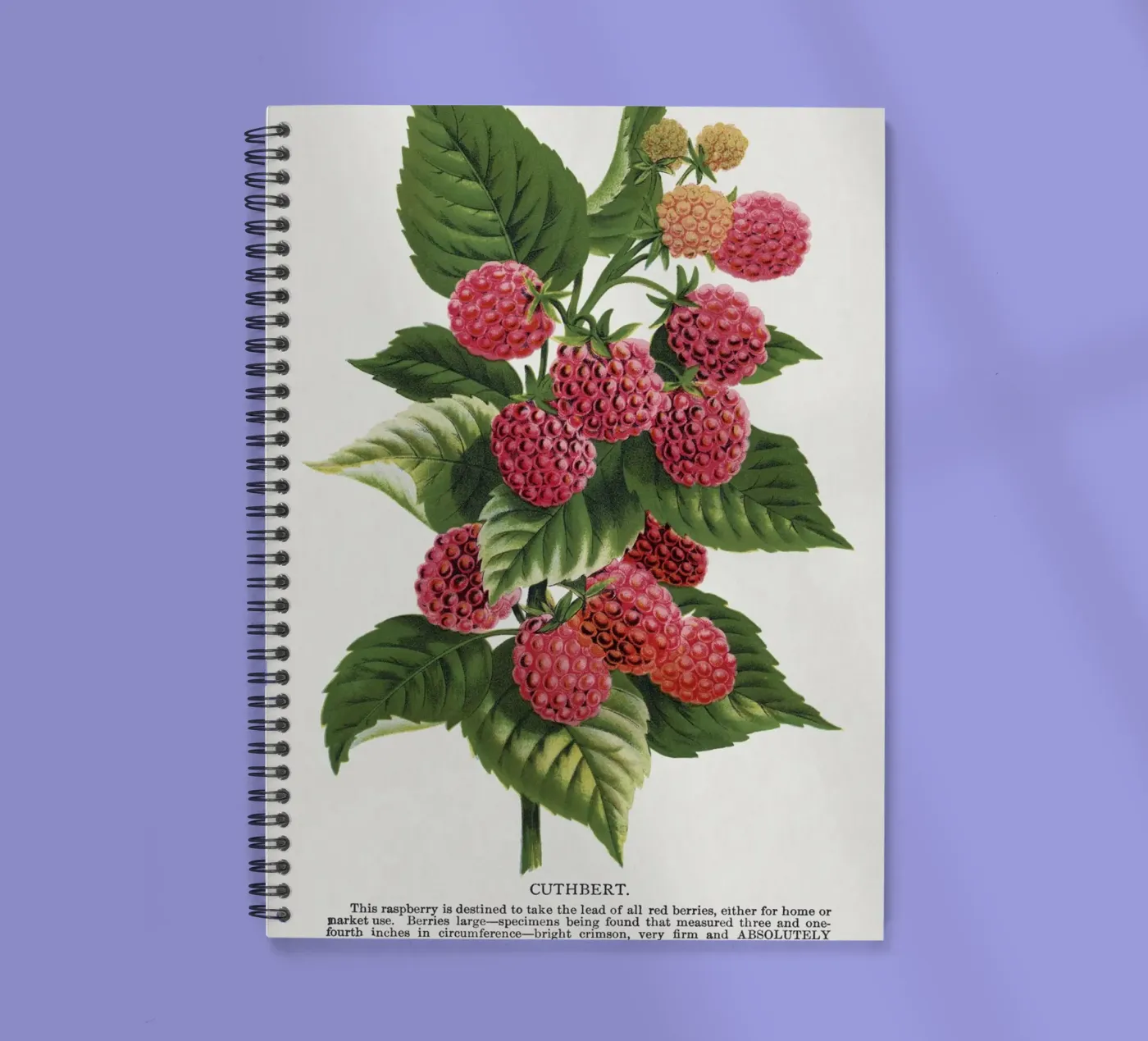 Cuthbert raspberry spiral notebook by vintageshop