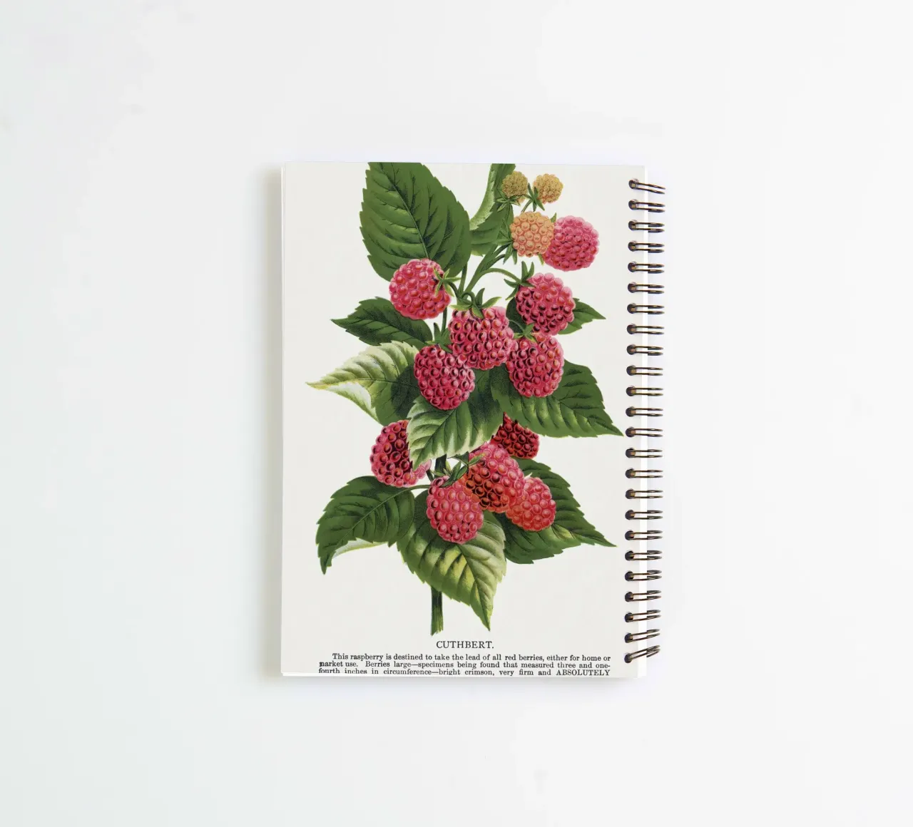 Cuthbert raspberry spiral notebook by vintageshop