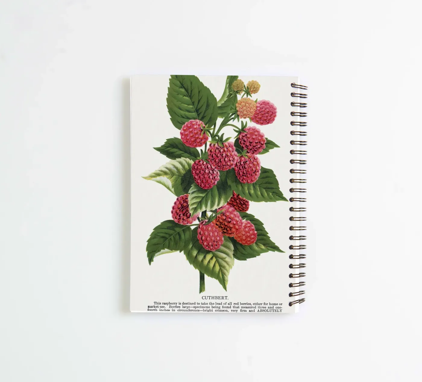 Cuthbert raspberry spiral notebook by vintageshop